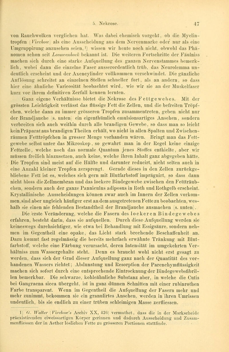 von Rauchwolken verglichen hat. Was dabei chemisch vorgeht, ob die Myelin- tropfen ( Virchoiv) als eine Ausscheidung aus dem Nervenmarke-oder nur als eine Umgruppirung anzusehen seien,') wissen wir heute noch nicht, obwohl das Phä- nomen schon seit Leeuwenhoek bekannt ist. Die weiteren Fortschritte der Fäulniss machen sich durch eine starke Aufquellung des ganzen Nervenstammes bemerk- lich , wobei dann die einzelne Faser ausserordentlich trüb, das Neurolemma un- deutlich erscheint und der Axencylinder vollkommen verschwindet. Die gänzliche Auflösung schreitet an einzelnen Stellen schneller fort, als an andern, so dass hier eine ähnliche Varicosität beobachtet wird, wie wir sie an der Muskelfaser kurz vor ihrem definitiven Zerfall kennen lernten. Ganz eigene Verhältnisse bietet die Nekrose des Fettgewebes. Mit der grössten Leichtigkeit verlässt das flüssige Fett die Zellen, und die befreiten Tröpf- chen, welche dann zu immer grösseren Tropfen zusammentreten, geben nicht nur der Brandjauche (s. unten) ein eigenthümlich emulsionsartiges Ansehen, sondern verbreiten sich auch weithin durch alle brandigen Gewebe, so dass man so leicht kein Präparat aus brandigen Theilen erhält, wo nicht in allen Spalten und Zwischen- räumen Fetttröpfchen in grosser Menge vorhanden wären. Bringt man das Fett- gewebe selbst unter das Mikroskop, so gewahrt man in der Regel keine einzige Fettzelle, welche noch das normale Quantum jenes Stoffes enthielte, aber wir müssen freilich hinzusetzen, auch keine, welche ihren Inhalt ganz abgegeben hätte. Die Tropfen sind meist auf die Hälfte und darunter reducirt, nicht selten auch in eine Anzahl kleiner Tropfen zersprengt. Gerade dieses in den Zellen zurückge- bliebene Fett ist es, welches sich gern mit Blutfarbstoff imprägnirt, so dass dann nicht bloss die Zellmembran und das lockere Bindegewebe zwischen den Fettträub- chen, sondern auch der ganze Panniculus adiposus in Roth und Rothgelb erscheint. Krystalliniscke Ausscheidungen können zwar auch im Innern der Zellen vorkom- men, sind aber ungleich häufiger erst an dem ausgetretenen Fette zu beobachten, wes- halb sie einen nie fehlenden Bestandtheil der Brandjauche ausmachen (s. unten). Die erste Veränderung, welche die Fasern des lockeren Bindegewebes erfahren, besteht darin, dass sie aufquellen. Durch diese-Aufquellung werden sie keineswegs durchsichtiger, wie etwa bei Behandlung mit Essigsäure, sondern neh- men im Gegentheil eine opake, das Licht stark brechende Beschaffenheit an. Dazu kommt fast regelmässig die bereits mehrfach erwähnte Tränkung mit Blut- farbstoff, welche eine Färbung verursacht, deren Intensität im umgekehrten Ver- hältniss zum Wassergehalte steht. Denn es braucht wohl nicht erst gesagt zu werden, dass sich der Grad dieser Aufquellung ganz nach der Quantität des vor- handenen Wassers richtet; Abdunstung und Resorption der Parenchymflüssigkeit machen sich sofort durch eine entsprechende Eintrocknung der Bindegewebsfibril- len bemerkbar. Die schwarze, kohleähnliche Substanz aber, in welche die Cutis bei Gangraena sicca übergeht, ist in ganz dünnen Schnitten mit einer rubinrothen Farbe transparent. Wenn im Gegentheil die Aufqueliung der Fasern mehr und mehr zunimmt, bekommen sie ein granulirtes Ansehen, werden in ihren Umrissen undeutlich, bis sie endlich zu einer trüben schleimigen Masse zerfliessen. 1) G. Walter {Virchoio's Archiv XX, 426) vermuthet, dass die in der Markscheide präexistirenden eiweissartigen Körper gerinnen und dadurch Ausscheidung und Zusam- menfliessen der in Aether löslichen Fette zu grösseren Portionen stattfinde.