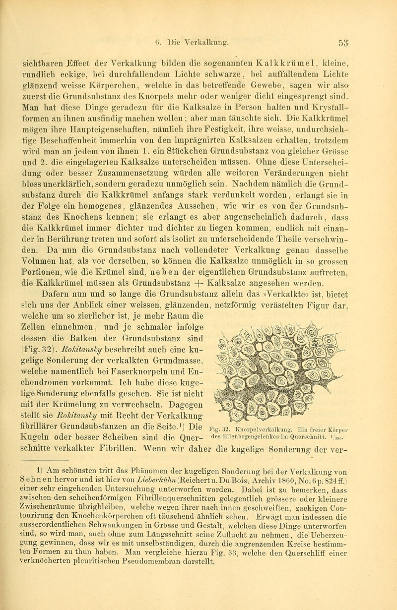 sichtbaren JEffect der Verkalkung bilden die sogenannten Kalkkrümel, kleine, rundlich eckige, bei durchfallendem Lichte schwarze, bei auffallendem Lichte glänzend weisse Körperchen, welche in das betreffende Gewebe, sagen wir also zuerst die Grundsubstanz des Knorpels mehr oder weniger dicht eingesprengt sind. Man hat diese Dinge geradezu für die Kalksalze in Person halten und Krystall- formen an ihnen ausfindig machen wollen; aber man täuschte sich. Die Kalkkrümel mögen ihre Haupteigenschaften, nämlich ihre Festigkeit, ihre weisse, undurchsich- tige Beschaffenheit immerhin von den imprägnirten Kalksalzen erhalten, trotzdem wird man an jedem von ihnen 1. ein Stückchen Grundsubstanz von gleicher Grösse und 2. die eingelagerten Kalksalze unterscheiden müssen. Ohne diese Unterschei- dung oder besser Zusammensetzung würden alle weiteren Veränderungen nicht bloss unerklärlich, sondern geradezu unmöglich sein. Nachdem nämlich die Grund- substanz durch die Kalkkrümel anfangs stark verdunkelt worden, erlangt sie in der Folge ein homogenes, glänzendes Aussehen, wie wir es von der Grundsub- stanz des Knochens kennen; sie erlangt es aber augenscheinlich dadurch, dass die Kalkkrümel immer dichter und dichter zu liegen kommen, endlich mit einan- der in Berührung treten und sofort als isolirt zu unterscheidende Theile verschwin- den. Da nun die Grundsubstanz nach vollendeter Verkalkung genau dasselbe Volumen hat, als vor derselben, so können die Kalksalze unmöglich in so grossen Portionen, wie die Krümel sind, neben der eigentlichen Grundsubstanz auftreten, die Kalkkrümel müssen als Grundsubstänz ~\- Kalksalze angesehen werden. Dafern nun und so lange die Grundsubstanz allein das »Verkalkte« ist, bietet sich uns der Anblick einer weissen, glänzenden, netzförmig verästelten Figur dar, welche um so zierlicher ist, je mehr Raum die Zellen einnehmen, und je schmaler infolge dessen die Balken der Grundsubstanz sind Fig. 32). Rokitansky beschreibt auch eine ku- gelige Sonderung der verkalkten Grundmasse, welche namentlich bei Faserknorpeln und En- chondromen vorkommt. Ich habe diese kuge- lige Sonderung ebenfalls gesehen. Sie ist nicht mit der Krümelung zu verwechseln. Dagegen stellt sie Rokitansky mit Recht der Verkalkung fibrillärer Grundsubstanzen an die Seite.1) Die Kugeln oder besser Scheiben sind die Quer- schnitte verkalkter Fibrillen. Wenn wir daher die kugelige Sonderung der ver- Fig. 32. Knorpelverkalkung. Ein freier Körper des Ellenbogengelenkes im Querschnitt. 1/300. 1) Am schönsten tritt das Phänomen der kugeligen Sonderung bei der Verkalkung von Sehnen hervor und ist hier von Lieberhuhn (Reichert u. Du Bois, Archiv 1860, No. 6 p. 824 ff.) einer sehr eingehenden Untersuchung unterworfen worden. Dabei ist zu bemerken, dass zwischen den scheibenförmigen Fibrillenqu er schnitten gelegentlich grössere oder kleinere Zwischenräume übrigbleiben, welche wegen ihrer nach innen geschweiften, zackigen Con- tourirung den Knochenkörperchen oft täuschend ähnlich sehen. Erwägt man indessen die ausserordentlichen Schwankungen in Grösse und Gestalt, welchen diese Dinge unterworfen sind, so wird man, auch ohne zum Längsschnitt seine Zuflucht zu nehmen, die Ueberzeu- gung gewinnen, dass wir es mit unselbständigen, durch die angrenzenden Kreise bestimm- ten Formen zu thun haben. Man vergleiche hierzu Fig. 33, welche den Querschliff einer verknöcherten pleuritischen Pseudomembran darstellt.