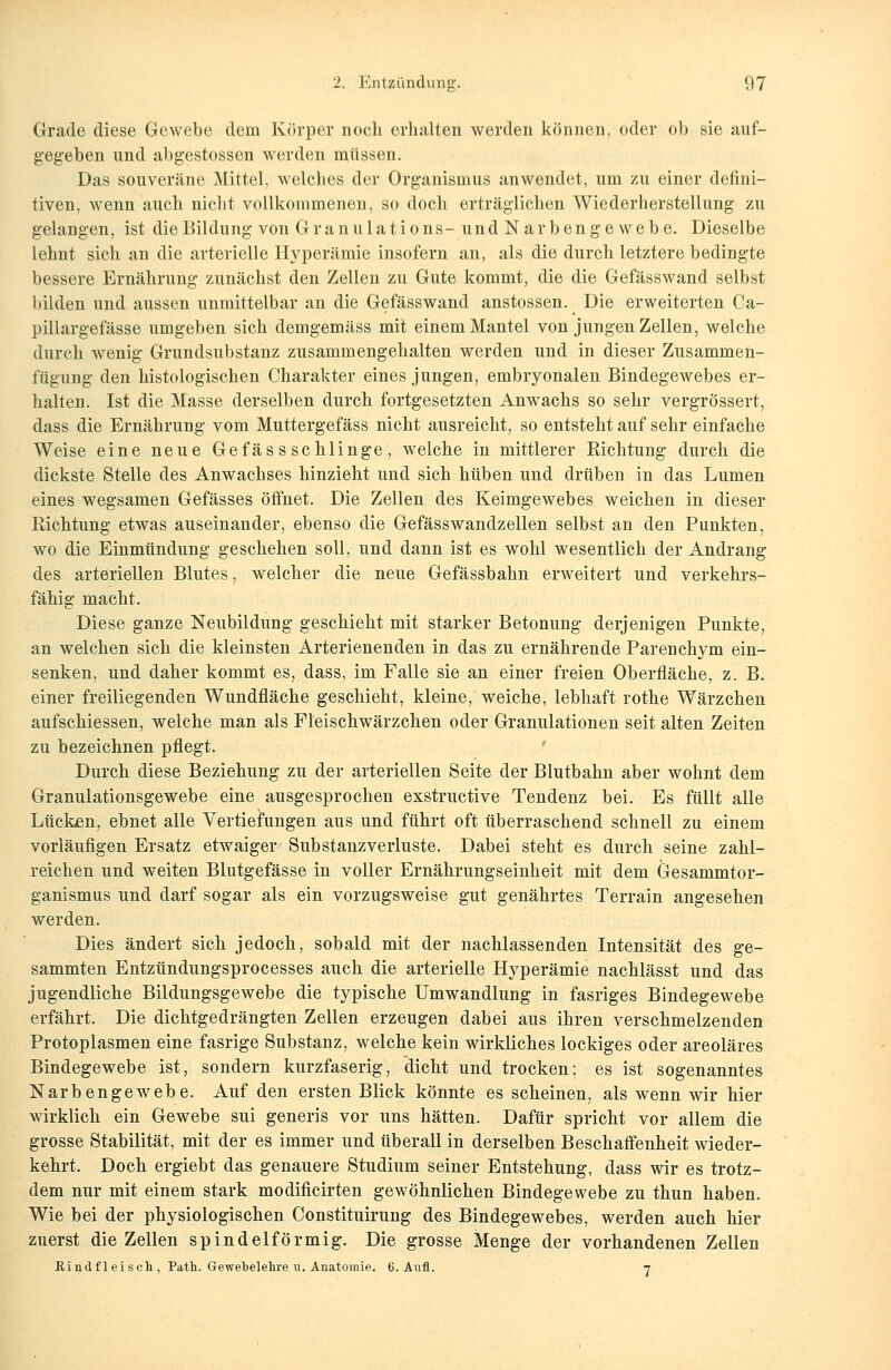 Grade diese Gewebe dem Körper noch erhalten werden können, oder ob sie auf- gegeben und abgestossen werden müssen. Das souveräne Mittel, welches der Organismus anwendet, um zu einer defini- tiven, wenn auch nicht vollkommenen, so doch erträglichen Wiederherstellung zu gelangen, ist die Bildung von Granulations-und Narbengewebe. Dieselbe lehnt sich an die arterielle Hyperämie insofern an, als die durch letztere bedingte bessere Ernährung zunächst den Zellen zu Gute kommt, die die Gefässwand selbst bilden und aussen unmittelbar an die Gefässwand anstossen. Die erweiterten Ca- pillargefässe umgeben sich demgemäss mit einem Mantel von jungen Zellen, welche durch wenig Grundsubstanz zusammengehalten werden und in dieser Zusammen- fügung den histologischen Charakter eines jungen, embryonalen Bindegewebes er- halten. Ist die Masse derselben durch fortgesetzten Anwachs so sehr vergrössert, dass die Ernährung vom Muttergefäss nicht ausreicht, so entsteht auf sehr einfache Weise eine neue Gefässschlinge, welche in mittlerer Richtung durch die dickste Stelle des Anwachses hinzieht und sich hüben und drüben in das Lumen eines wegsamen Gefässes öffnet. Die Zellen des Keimgewebes weichen in dieser Richtung etwas auseinander, ebenso die Gefässwandzellen selbst an den Punkten, wo die Einmündung geschehen soll, und dann ist es wohl wesentlich der Andrang des arteriellen Blutes, welcher die neue Gefässbahn erweitert und verkehrs- fähig macht. Diese ganze Neubildung geschieht mit starker Betonung derjenigen Punkte, an welchen sich die kleinsten Arterienenden in das zu ernährende Parenchym ein- senken, und daher kommt es, dass, im Falle sie an einer freien Oberfläche, z. B. einer freiliegenden Wundfläche geschieht, kleine, weiche, lebhaft rothe Wärzchen aufschiessen, welche man als Fleischwärzchen oder Granulationen seit alten Zeiten zu bezeichnen pflegt. Durch diese Beziehung zu der arteriellen Seite der Blutbahn aber wohnt dem Granulationsgewebe eine ausgesprochen exstructive Tendenz bei. Es füllt alle Lücken, ebnet alle Vertiefungen aus und führt oft überraschend schnell zu einem vorläufigen Ersatz etwaiger Substanzverluste. Dabei steht es durch seine zahl- reichen und weiten Blutgefässe in voller Ernährungseinheit mit dem Gesammtor- ganismus und darf sogar als ein vorzugsweise gut genährtes Terrain angesehen werden. Dies ändert sich jedoch, sobald mit der nachlassenden Intensität des ge- sammten Entzündungsprocesses auch die arterielle Hyperämie nachlässt und das jugendliche Bildungsgewebe die typische Umwandlung in fasriges Bindegewebe erfährt. Die dichtgedrängten Zellen erzeugen dabei aus ihren verschmelzenden Protoplasmen eine fasrige Substanz, welche kein wirkliches lockiges oder areoläres Bindegewebe ist, sondern kurzfaserig, dicht und trocken; es ist sogenanntes Narbengewebe. Auf den ersten Blick könnte es scheinen, als wenn wir hier wirklich ein Gewebe sui generis vor uns hätten. Dafür spricht vor allem die grosse Stabilität, mit der es immer und überall in derselben Beschaffenheit wieder- kehrt. Doch ergiebt das genauere Studium seiner Entstehung, dass wir es trotz- dem nur mit einem stark modificirten gewöhnlichen Bindegewebe zu thun haben. Wie bei der physiologischen Constituirung des Bindegewebes, werden auch hier zuerst die Zellen spindelförmig. Die grosse Menge der vorhandenen Zellen Kindfleisch, Path. Gewebelehre u. Anatomie. 6. Aufl. 7