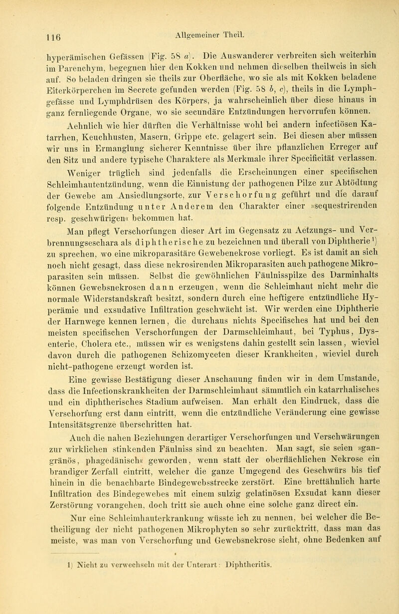 hyperämischen Gefässen (Fig. 58 a). Die Auswanderer verbreiten sich weiterhin im Parenchym, begegnen hier den Kokken und nehmen dieselben theilweis in sich auf. So beladen dringen sie theils zur Oberfläche, wo sie als mit Kokken beladene Eiterkörpereken im Secrete gefunden werden (Fig. 58 b, c), theils in die Lymph- gefässe und Lymphdrüsen des Körpers, ja wahrscheinlich über diese hinaus in ganz fernliegende Organe, wo sie seeundäre Entzündungen hervorrufen können. Aehnlich wie hier dürften die Verhältnisse wohl bei andern infectiösen Ka- tarrhen, Keuchhusten, Masern, Grippe etc. gelagert sein. Bei diesen aber müssen wir uns in Ermanglung sicherer Kenntnisse über ihre pflanzlichen Erreger auf den Sitz und andere typische Charaktere als Merkmale ihrer Specificität verlassen. Weniger trüglich sind jedenfalls die Erscheinungen einer speeifischen Schleimhautentzündung, wenn die Einnistung der pathogenen Pilze zur Abtödtung der Gewebe am Ansiedlungsorte, zur Verschorfung geführt und die darauf folgende Entzündung unter Anderem den Charakter einer »sequestrirenden resp. geschwürigen« bekommen hat. Man pflegt Verschorfungen dieser Art im Gegensatz zu Aetzungs- und Ver- brennungseschara als diphtherische zu bezeichnen und überall von Diphtheriex) zu sprechen, wo eine mikroparasitäre Gewebenekrose vorliegt. Es ist damit an sich noch nicht gesagt, dass diese nekrosirenden Mikroparasiten auch pathogene Mikro- parasiten sein müssen. Selbst die gewöhnlichen Fäulnisspilze des üarminhalts können Gewebsnekrosen dann erzeugen, wenn die Schleimhaut nicht mehr die normale Widerstandskraft besitzt, sondern durch eine heftigere entzündliche Hy- perämie und exsudative Infiltration geschwächt ist. Wir werden eine Diphtherie der Harnwege kennen lernen, die durchaus nichts Specifisches hat und bei den meisten speeifischen Verschorfungen der Darmschleimhaut, bei Typhus, Dys- enterie, Cholera etc., müssen wir es wenigstens dahin gestellt sein lassen, wieviel davon durch die pathogenen Schizomyceten dieser Krankheiten, wieviel durch nicht-pathogene erzeugt worden ist. Eine gewisse Bestätigung dieser Anschauung finden wir in dem Umstände, dass die Infectionskrankheiten der Darmschleimhaut sämmtlich ein katarrhalisches und ein diphtherisches Stadium aufweisen. Man erhält den Eindruck, dass die Verschorfung erst dann eintritt, wenn die entzündliche Veränderung eine gewisse Intensitätsgrenze überschritten hat. Auch die nahen Beziehungen derartiger Verschorfungen und Verschwärungen zur wirklichen stinkenden Fäulniss sind zu beachten. Man sagt, sie seien »gan- gränös, phagedänisch« geworden, wenn statt der oberflächlichen Nekrose ein brandiger Zerfall eintritt, welcher die ganze Umgegend des Geschwürs bis tief hinein in die benachbarte Bindegewebsstrecke zerstört. Eine brettähnlich harte Infiltration des Bindegewebes mit einem sulzig gelatinösen Exsudat kann dieser Zerstörung vorangehen, doch tritt sie auch ohne eine solche ganz direct ein. Nur eine Schleimhauterkrankung wüsste ich zu nennen, bei welcher die Be- theiligung der nicht pathogenen Mikrophyten so sehr zurücktritt, dass man das meiste, was man von Verschorfung und Gewebsnekrose sieht, ohne Bedenken auf