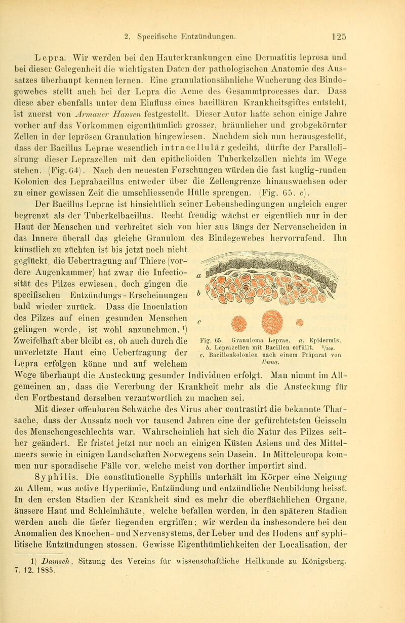 Lepra. Wir werden bei den Hauterkrankungen eine Dermatitis leprosa nnd bei dieser Gelegenheit die wichtigsten Daten der pathologischen Anatomie des Aus- satzes überhaupt kennen lernen. Eine granulationsähnliche Wucherung des Binde- gewebes stellt auch bei der Lepra die Acme des Gesammtprocesses dar. Dass diese aber ebenfalls unter dem Einfluss eines bacillären Krankheitsgiftes entsteht, ist zuerst von Jrmauer Hansen festgestellt. Dieser Autor hatte schon einige Jahre vorher auf das Vorkommen eigenthümlich grosser, bräunlicher und grobgekörnter Zellen in der leprösen Granulation hingewiesen. Nachdem sich nun herausgestellt, dass der Bacillus Leprae wesentlich intracellulär gedeiht, dürfte der Paralleli- sirung dieser Leprazellen mit den epithelioiden Tuberkelzellen nichts im Wege stehen. (Fig. 64). Nach den neuesten Forschungen würden die fast kuglig-runden Kolonien des Leprabacillus entweder über die Zellengrenze hinauswachsen oder zu einer gewissen Zeit die umschliessende Hülle sprengen. (Fig. 65. c). Der Bacillus Leprae ist hinsichtlich seiner Lebensbedingungen ungleich enger begrenzt als der Tuberkelbacillus. Recht freudig wächst er eigentlich nur in der Haut der Menschen und verbreitet sich von hier aus längs der Nervenscheiden in das Innere überall das gleiche Granulom des Bindegewebes hervorrufend. Ihn künstlich zu züchten ist bis jetzt noch nicht ^^=E^^==^!^^=^ _ geglückt, die Uebertragung auf Thiere (vor- dere Augenkammer) hat zwar die Infectio- rl '^ß^^^^^^^<^Z ''v^i&v sität des Pilzes enviesen, doch gingen die '}Z^^[}y ^ . <; ^^a§§ \S :¥ speeifischen Entzündungs-Erscheinungen * ^^Ip^O-^O1- bald wieder zurück. Dass die Inoculation des Pilzes auf einen gesunden Menschen „ gelingen werde, ist wohl anzunehmen.1) Zweifelhaft aber bleibt es, Ob auch durch die Fig. 65. Granuloma Leprae. a. Epidermis. i , , tt . . tt i i i b. Leprazellen mit Bacillen erfüllt. 1/300. Unverletzte Haut eine Uebertragung der c< Bacillenkolonien nach einem Präparat von Lepra erfolgen könne und auf welchem Unna- Wege überhaupt die Ansteckung gesunder Individuen erfolgt. Man nimmt im All- gemeinen an, dass die Vererbung der Krankheit mehr als die Ansteckung für den Fortbestand derselben verantwortlich zu machen sei. Mit dieser offenbaren Schwäche des Virus aber contrastirt die bekannte That- sache, dass der Aussatz noch vor tausend Jahren eine der gefürchtetsten Geissein des Menschengeschlechts war. Wahrscheinlich hat sich die Natur des Pilzes seit- her geändert. Er fristet jetzt nur noch an einigen Küsten Asiens und des Mittel- meers sowie in einigen Landschaften Norwegens sein Dasein. In Mitteleuropa kom- men nur sporadische Fälle vor, welche meist von dorther importirt sind. Syphilis. Die constitutionelle Syphilis unterhält im Körper eine Neigung zu Allem, was active Hyperämie, Entzündung und entzündliche Neubildung heisst. In den ersten Stadien der Krankheit sind es mehr die oberflächlichen Organe, äussere Haut und Schleimhäute, welche befallen werden, in den späteren Stadien werden auch die tiefer liegenden ergriffen; wir werden da insbesondere bei den Anomalien des Knochen-und Nervensystems, der Leber und des Hodens auf syphi- litische Entzündungen stossen. Gewisse Eigenthümlichkeiten der Localisation, der 1) Dänisch, Sitzung des Vereins für wissenschaftliche Heilkunde zu Königsberg.