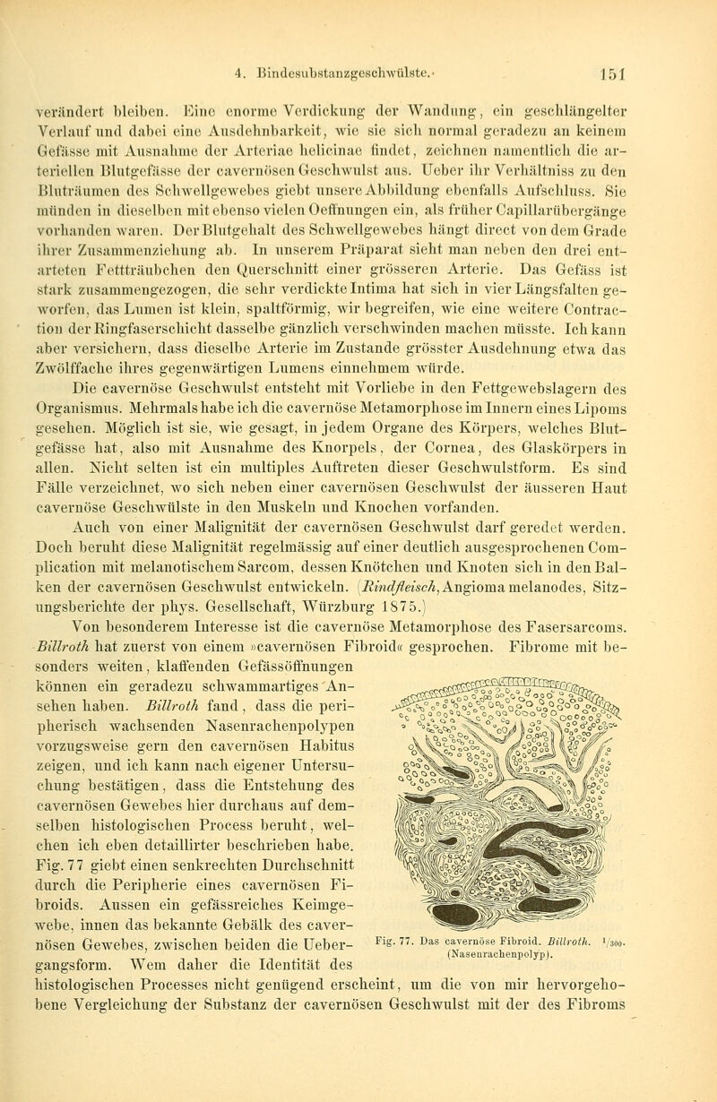 verändert bleiben. Eine enorme Vordickung der Wandung, ein geschlängelter Verlauf und dabei eine Ausdehnbarkeit, wie sie sich normal geradezu an keinem Gefässe mit Ausnahme der Arteriae helicinae findet, zeichnen namentlich die ar- teriellen Blutgefässe der cavernösen Geschwulst aus. Uober ihr Verhältniss zu den Bluträumen des Schwellgewebes giebt unsere Abbildung ebenfalls Aufschluss. Sie münden in dieselben mit ebenso vielen Oeffnungen ein, als früher Capillarübergänge vorhanden waren. DerBlutgchalt des Schwellgewcbes hängt direct von dem Grade ihrer Zusammenziehung ab. In unserem Präparat sieht man neben den drei ent- arteten Fettträubchen den Querschnitt einer grösseren Arterie. Das Gefäss ist stark zusammengezogen, die sehr verdickte Intima hat sich in vier Längsfalten ge- worfen, das Lumen ist klein, spaltförmig, wir begreifen, wie eine weitere Contrac- tion der Ringfaserschicht dasselbe gänzlich verschwinden machen müsste. Ich kann aber versichern, dass dieselbe Arterie im Zustande grösster Ausdehnung etwa das Zwölffache ihres gegenwärtigen Lumens einnehmem würde. Die cavernöse Geschwulst entsteht mit Vorliebe in den Fettgewebslagern des Organismus. Mehrmals habe ich die cavernöse Metamorphose im Innern eines Lipoms gesehen. Möglich ist sie, wie gesagt, in jedem Organe des Körpers, welches Blut- gefässe hat, also mit Ausnahme des Knorpels, der Cornea, des Glaskörpers in allen. Nicht selten ist ein multiples Auftreten dieser Geschwulstform. Es sind Fälle verzeichnet, wo sich neben einer cavernösen Geschwulst der äusseren Haut cavernöse Geschwülste in den Muskeln und Knochen vorfanden. Auch von einer Malignität der cavernösen Geschwulst darf geredet werden. Doch beruht diese Malignität regelmässig auf einer deutlich ausgesprochenen Com- plication mit melanotischem Sarcom, dessen Knötchen und Knoten sich in den Bal- ken der cavernösen Geschwulst entwickeln. [Rindfleisch, Angioma melanodes, Sitz- ungsberichte der phys. Gesellschaft, Würzburg 1875.) Von besonderem Interesse ist die cavernöse Metamorphose des Fasersarcoms. Billroth hat zuerst von einem »cavernösen Fibroid« gesprochen. Fibrome mit be- sonders weiten, klaffenden Gefäss Öffnungen können ein geradezu schwammartiges'An- sehen haben. Billroth fand , dass die peri- pherisch wachsenden Nasenrachenpolypen vorzugsweise gern den cavernösen Habitus zeigen, und ich kann nach eigener Untersu- chung bestätigen, dass die Entstehung des cavernösen Gewebes hier durchaus auf dem- selben histologischen Process beruht, wel- chen ich eben detaillirter beschrieben habe. Fig. 7 7 giebt einen senkrechten Durchschnitt durch die Peripherie eines cavernösen Fi- broids. Aussen ein gefässreiches Keimge- webe, innen das bekannte Gebälk des caver- nösen Gewebes, zwischen beiden die Ueber- gangsform. Wem daher die Identität des histologischen Processes nicht genügend erscheint, um die von mir hervorgeho- bene Vergleichung der Substanz der cavernösen Geschwulst mit der des Fibroms Fig. 77. Das cavernöse Fibroid. Billroth. V3oo- (Nasenrachenpolyp).