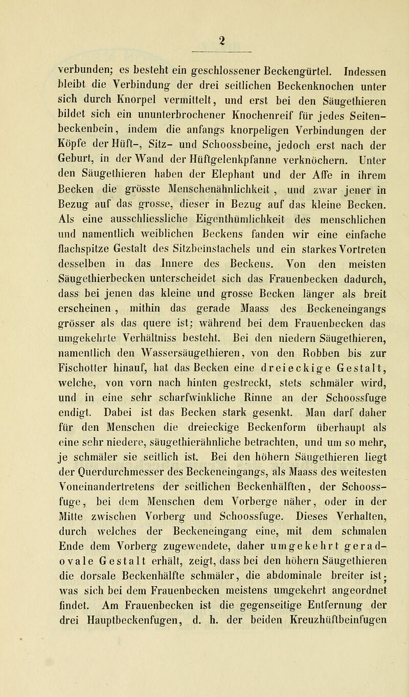 verbunden; es besteht ein geschlossener Beckengürtel. Indessen bleibt die Verbindung der drei seitlichen Beckenknochen unter sich durch Knorpel vermittelt, und erst bei den Säugethieren bildet sich ein ununterbrochener Knochenreif für jedes Seiten- beckenbein, indem die anfangs knorpeligen Verbindungen der Köpfe der Hüft-, Sitz- und Schoossbeine, jedoch erst nach der Geburt, in der Wand der Hüftgelenkpfanne verknöchern. Unter den Säugethieren haben der Elephant und der Affe in ihrem Becken die grösste Menschenähnlichkeit , und zwar jener in Bezug auf das grosse, dieser in Bezug auf das kleine Becken. Als eine ausschliessliche Eigenthümlichkeit des menschlichen und namentlich weiblichen Beckens fanden wir eine einfache flachspitze Gestalt des Sitzbeinstachels und ein starkes Vortreten desselben in das Innere des Beckens. Von den meisten Säugethierbecken unterscheidet sich das Frauenbecken dadurch, dass bei jenen das kleine und grosse Becken länger als breit erscheinen , mithin das gerade Maass des Beckeneingangs grösser als das quere ist; während bei dem Frauenbecken das umgekehrte Verhältniss besteht. Bei den niedern Säugethieren, namenilich den Wassersäugethieren, von den Robben bis zur Fischotter hinauf, hat das Becken eine dreieckige Gestalt, welche, von vorn nach hinten gestreckt, stets schmäler wird, und in eine sehr scharfwinkliche Rinne an der Schoossfuge endigt. Dabei ist das Becken stark gesenkt. Man darf daher für den Menschen die dreieckige Beckenform überhaupt als eine sehr niedere, säugethierähnliche betrachten, und um so mehr, je schmäler sie seitlich ist. Bei den höhern Säugethieren liegt der Querdurchmesser des Beckeneingangs, als Maass des weitesten Voneinandertretens der seitlichen Beckenhälften, der Schooss- fuge, bei dem Menschen dem Vorberge näher, oder in der Mitte zwischen Vorberg und Schoossfuge. Dieses Verhalten, durch welches der Beckeneingang eine, mit dem schmalen Ende dem Vorberg zugewendete, daher umgekehrt gerad- ovale Gestalt erhält, zeigt, dass bei den höhern Säugethieren die dorsale Beckenhälfte schmäler, die abdominale breiter istj was sich bei dem Frauenbecken meistens umgekehrt angeordnet findet. Am Frauenbecken ist die gegenseitige Entfernung der drei Hauptbeckenfugen, d. h. der beiden Kreuzhüftbeinfugen