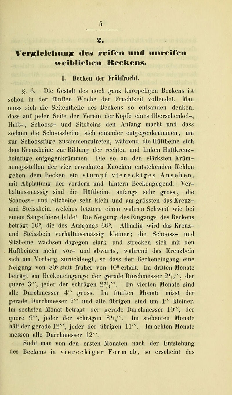 Vergleiclitiug des reifeu uiifl uiireifeii iveibliclieii J3ecl&eiiis. 1. Becken der Frühfrucht. §. 6. Die Gestalt des noch ganz knorpeligen Beckens ist schon in der fünften Woche der Fruchtzeit vollendet. Man muss sich die Seitentheile des Beckens so entsanden denken, dass auf jeder Seite der Verein der Köpfe eines Oberschenkel-, Hüft-, Schooss- und Sitzbeins den Anfang macht und dass sodann die Schoossbeine sich einander entgegenkrümmen, um zur Schoossfuge zusammenzutreten, während die Hüftbeine sich dem Kreuzbeine zur Bildung der rechten und linken Hüftkreuz- beinfuge entgegenkrümmen. Die so an den stärksten Krüm- mungsstellen der vier ervvähnteu Knochen entstehenden Kehlen geben dem Becken ein stumpf viereckiges Ansehen, mit Abplattung der vordem und hintern Beckengegend. Ver- hältnissmässig sind die Hüftbeine anfangs sehr gross, die Schooss- und Sitzbeine sehr klein und am grössten das Kreuz- und Steissbein, welches letztere einen wahren Schweif wie bei einem Säugethiere bildet. Die Neigung des Eingangs des Beckens beträgt 10°, die des Ausgangs 60*^. Allniälig wird das Kreuz- und Steissbein verhältnissmässig kleiner; die Schooss- und Sitzbeine wachsen dagegen stark und strecken sich mit den Hüftbeinen mehr vor- und abwärts, während das Kreuzbein sich am Vorberg zurückbiegt, so dass der Beckeneingang eine Neigung von 80 statt früher von 10 erhält. Im dritten Monate beträgt am Beckeneingange der gerade Durchmesser S'/.i', der quere 3', jeder der schrägen 2^/4'. Im vierten Monate sind alle Durchmesser 4' gross. Im fünften Monate misst der gerade Durchmesser T und alle übrigen sind um 1' kleiner. Im sechsten Monat beträgt der gerade Durchmesser 10', der quere 9', jeder der schrägen 8'/4'- Im siebenten Monate hält der gerade 12', jeder der übrigen 11'. Im achten Monate messen alle Durchmesser 12'. Sieht man von den ersten Monaten nach der Entstehung des Beckens in viereckiger Form ab, so erscheint das