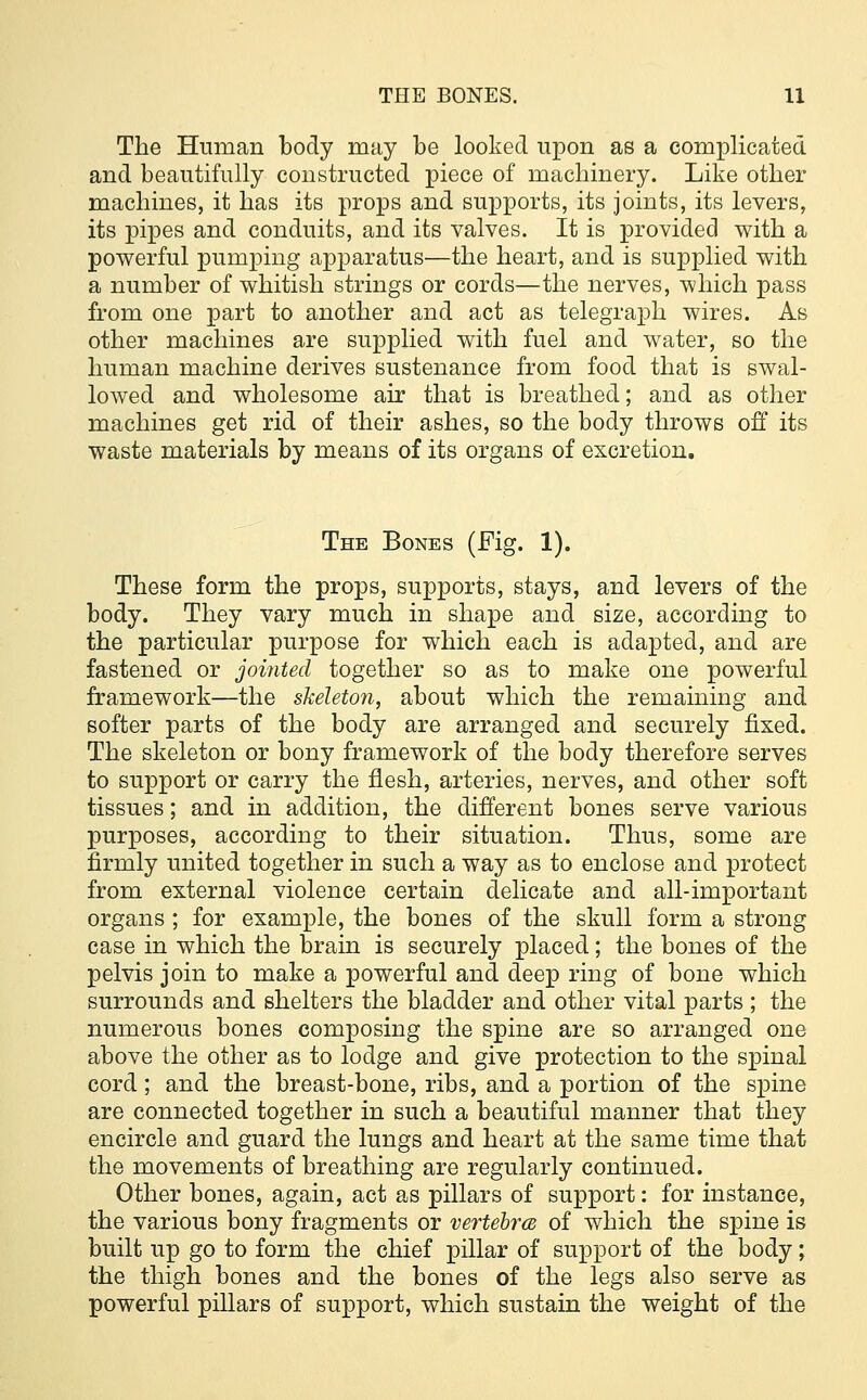 The Human body may be looked upon as a complicated and beautifully constructed piece of machinery. Like other machines, it has its props and supports, its joints, its levers, its pipes and conduits, and its valves. It is provided with a powerful pumping apparatus—the heart, and is supplied with a number of whitish strings or cords—the nerves, which pass from one part to another and act as telegraph wires. As other machines are supplied with fuel and water, so the human machine derives sustenance from food that is swal- lowed and wholesome air that is breathed; and as other machines get rid of their ashes, so the body throws off its waste materials by means of its organs of excretion. The Bones (Fig. 1). These form the props, supports, stays, and levers of the body. They vary much in shape and size, according to the particular purpose for which each is adapted, and are fastened or jointed together so as to make one powerful framework—the skeleton, about which the remaining and softer parts of the body are arranged and securely fixed. The skeleton or bony framework of the body therefore serves to support or carry the flesh, arteries, nerves, and other soft tissues; and in addition, the different bones serve various purposes, according to their situation. Thus, some are firmly united together in such a way as to enclose and protect from external violence certain delicate and all-important organs ; for example, the bones of the skull form a strong case in which the brain is securely placed; the bones of the pelvis join to make a powerful and deep ring of bone which surrounds and shelters the bladder and other vital parts ; the numerous bones composing the spine are so arranged one above the other as to lodge and give protection to the spinal cord; and the breast-bone, ribs, and a portion of the spine are connected together in such a beautiful manner that they encircle and guard the lungs and heart at the same time that the movements of breathing are regularly continued. Other bones, again, act as pillars of support: for instance, the various bony fragments or vertebra of which the spine is built up go to form the chief pillar of support of the body; the thigh bones and the bones of the legs also serve as powerful pillars of support, which sustain the weight of the