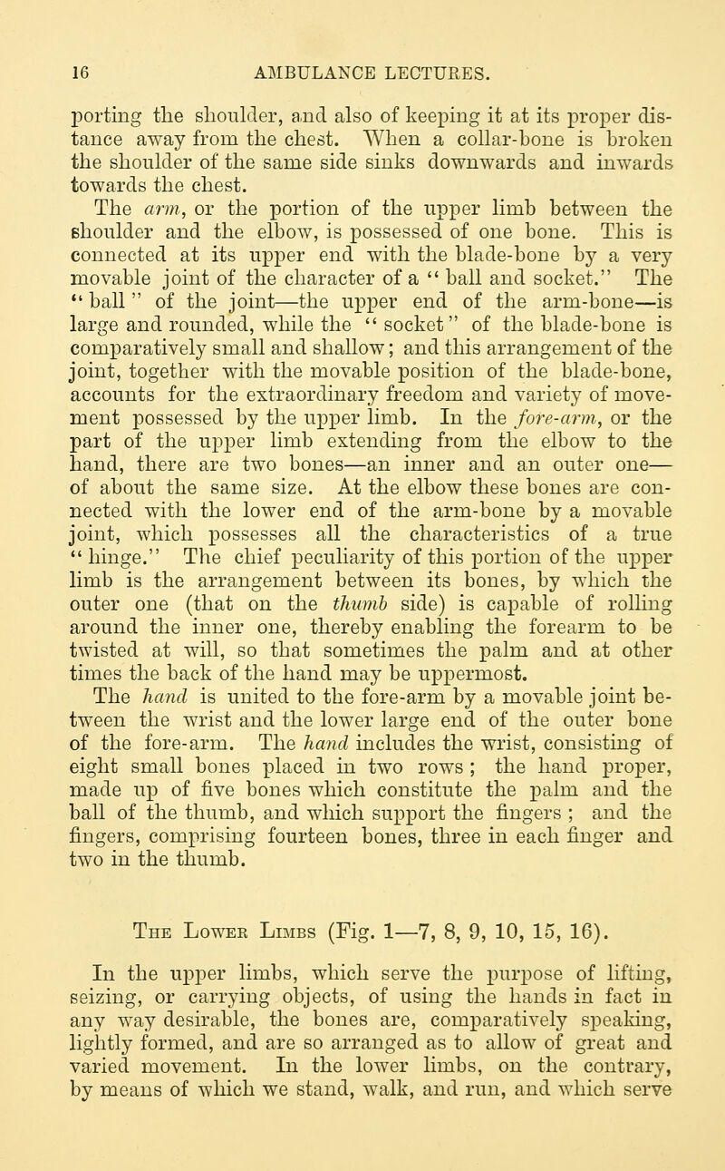 porting the shoulder, and also of keeping it at its proper dis- tance away from the chest. When a collar-bone is broken the shoulder of the same side sinks downwards and inwards towards the chest. The arm, or the portion of the upper limb between the shoulder and the elbow, is possessed of one bone. This is connected at its upper end with the blade-boue by a very movable joint of the character of a  ball and socket. The  ball  of the joint—the upper end of the arm-bone—is large and rounded, while the  socket of the blade-bone is comparatively small and shallow; and this arrangement of the joint, together with the movable position of the blade-bone, accounts for the extraordinary freedom and variety of move- ment possessed by the upper limb. In the fore-arm, or the part of the upper limb extending from the elbow to the hand, there are two bones—an inner and an outer one— of about the same size. At the elbow these bones are con- nected with the lower end of the arm-bone by a movable joint, which possesses all the characteristics of a true hinge. The chief peculiarity of this portion of the upper limb is the arrangement between its bones, by which the outer one (that on the thumb side) is capable of rolling around the inner one, thereby enabling the forearm to be twisted at will, so that sometimes the palm and at other times the back of the hand may be uppermost. The hand is united to the fore-arm by a movable joint be- tween the wrist and the lower large end of the outer bone of the fore-arm. The hand includes the wrist, consisting of eight small bones placed in two rows ; the hand proper, made up of five bones which constitute the palm and the ball of the thumb, and which support the fingers ; and the fingers, comprising fourteen bones, three in each finger and two in the thumb. The Lower Limbs (Fig. 1—7, 8, 9, 10, 15, 16). In the upper limbs, which serve the purpose of lifting, seizing, or carrying objects, of using the hands in fact in any way desirable, the bones are, comparatively speaking, lightly formed, and are so arranged as to allow of great and varied movement. In the lower limbs, on the contrary, by means of which we stand, walk, and run, and which serve