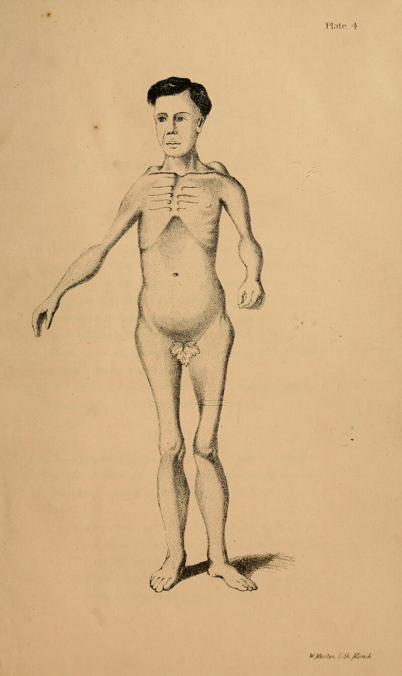 tt^/forf^; I,;tA^yn.-A-