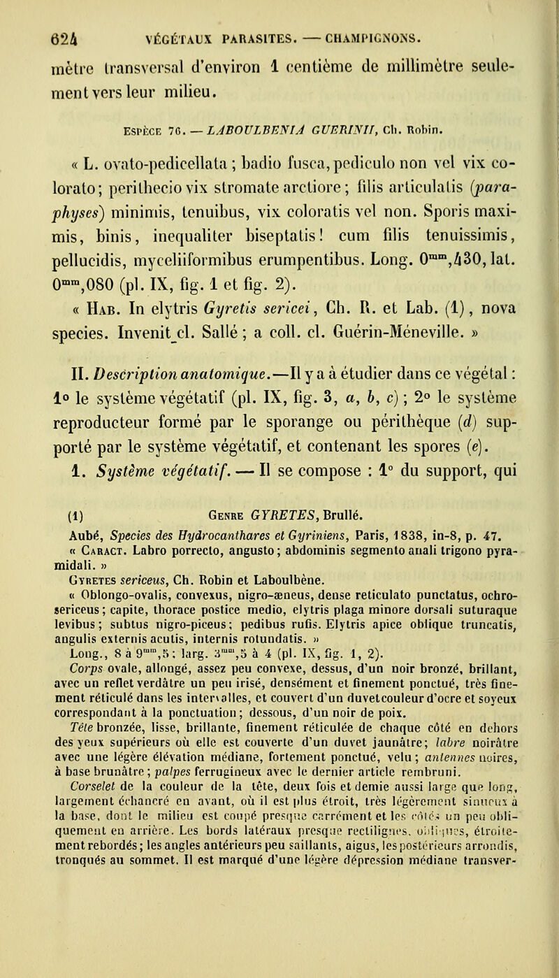 mètre transversal d'environ 1 centième de millimètre seule- ment vers leur milieu. ESPÈCE Id.—LÂBOULBENIA GUERINH, Cl). Robin. « L. ovato-pedicellata ; baclio fusca, pediculo non vel vix co- lorato; peritheciovix slromate arctiore ; filis articulalis (para- physes) minimis, tenuibus, vix coloratis vel non. Sporis maxi- mis, binis, inequaliter biseptatis! cum filis tenuissimis, pellucidis, myceliiformibus erumpentibus. Long. 0mm,/i30,lal. 0ram,080 (pi. IX, fîg. 1 et fig. 2). « Hab. In elytris Gyretis sericei, Ch. R. et Lab. (1), nova species. Invenitcl. Salle ; a coll. cl. Guérin-Méneville. » II. Description anatomique.—Il y a à étudier dans ce végétal : 1° le système végétatif (pi. IX, fig. 3, a, b, c) ; 2° le système reproducteur formé par le sporange ou périlhèque (d) sup- porté par le système végétatif, et contenant les spores (e). 1. Système végétatif. — Il se compose : 1° du support, qui (1) Genre GYRETES, Brullé. Aube, Species des Hydrocanthares et Gyriniens, Paris, 1838, in-8, p. 47. « Caract. Labro porrecto, angusto; abdominis segmenlo anali trigono pyra- midali. » Gïretes sericeus, Ch. Robin et Laboulbène. « Oblongo-ovalis, convexus, nigro-œneus, dense reticulato punctatus, ochro- sericeus; capite, thorace postice medio, elytris plaga minore dorsali suturaque Ievibus; subtus nigro-pieeus; pedibus rufis. Elytris apice oblique truncatis, aDgulis externis aculis, internis rotundatis. » Long., 8 à 9,5: larg. 3,5 à A (pi. IX, fig. 1, 2). Corps ovale, allongé, assez peu convexe, dessus, d'un noir bronzé, brillant, avec un reflet verdâtre un peu irisé, densément et finement ponctué, très fine- ment réticulé dans les intenalles, et couvert d'un duvetcouleurd'ocre et soyeux correspondant à la ponctuation; dessous, d'un noir de poix. Tête bronzée, lisse, brillante, finement réticulée de chaque côté en dehors des yeux supérieurs où elle est couverte d'un duvet jaunâtre; labre noirâtre avec une légère élévation médiane, fortement ponctué, velu; antennes noires, à base brunâtre; palpes ferrugineux avec le dernier article rembruni. Corselet de la couleur de la tête, deux fois et demie aussi large que long, largement échancré en avant, où il est plus étroit, très légèrement sinueux à la base, dont le milieu est coupé presque carrément et les côté* un peu obli- quement en arrière. Les bords latéraux presque reclilignes. uiiiijiK'S, étroite- ment rebordés ; les angles antérieurs peu saillants, aigus, les postérieurs arrondis, tronqués au sommet. Il est marqué d'une légère dépression médiane transver-