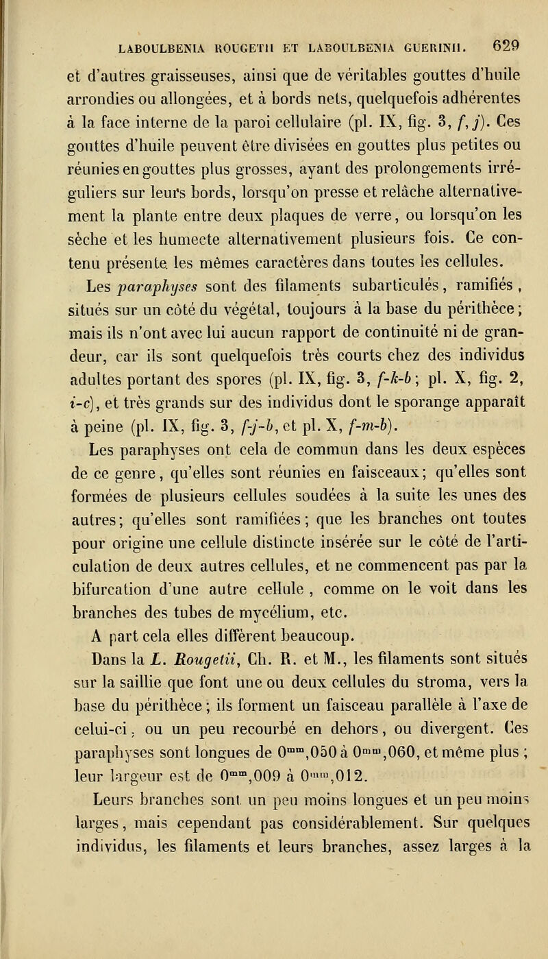 et d'autres graisseuses, ainsi que de véritables gouttes d'huile arrondies ou allongées, et à bords nets, quelquefois adhérentes à la face interne de la paroi cellulaire (pi. IX, fig. 3, f,j). Ces gouttes d'huile peuvent être divisées en gouttes plus petites ou réunies en gouttes plus grosses, ayant des prolongements irré- guliers sur leurs bords, lorsqu'on presse et relâche alternative- ment la plante entre deux plaques de verre, ou lorsqu'on les sèche et les humecte alternativement plusieurs fois. Ce con- tenu présente, les mêmes caractères dans toutes les cellules. Les paraphyses sont des filaments subarticulés, ramifiés , situés sur un côté du végétal, toujours à la base du périthèce ; mais ils n'ont avec lui aucun rapport de continuité ni de gran- deur, car ils sont quelquefois très courts chez des individus adultes portant des spores (pi. IX, fig. 3, f-k-b; pi. X, fig. 2, i-c), et très grands sur des individus dont le sporange apparaît à peine (pi. IX, fig. 3, f-j-b, et pi. X, f-m-b). Les paraphyses ont cela de commun dans les deux espèces de ce genre, qu'elles sont réunies en faisceaux; qu'elles sont formées de plusieurs cellules soudées à la suite les unes des autres; qu'elles sont ramifiées; que les branches ont toutes pour origine une cellule distincte insérée sur le côté de l'arti- culation de deux autres cellules, et ne commencent pas par la bifurcation d'une autre cellule , comme on le voit dans les branches des tubes de mycélium, etc. A part cela elles diffèrent beaucoup. Dans la L. Rougetii, Ch. R. et M., les filaments sont situés sur la saillie que font une ou deux cellules du stroma, vers la base du périthèce ; ils forment un faisceau parallèle à l'axe de celui-ci ; ou un peu recourbé en dehors, ou divergent. Ces paraphyses sont longues de 0mm,050 à 0ni,n,060, et même plus ; leur largeur est de 0mm,009 à O»»\012. Leurs branches sont un peu moins longues et un peu moins larges, mais cependant pas considérablement. Sur quelques individus, les filaments et leurs branches, assez larges à la