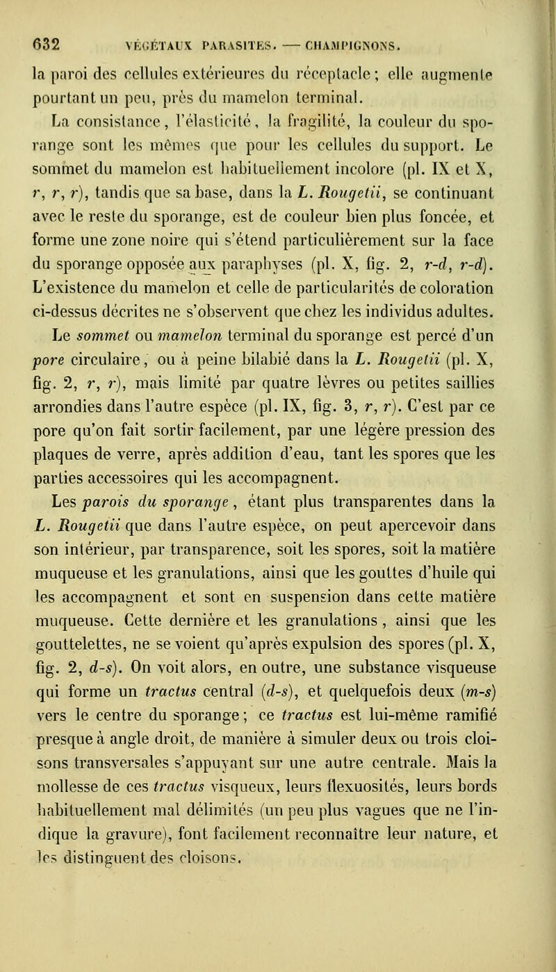 la paroi des cellules extérieures du réceptacle; elle augmente pourtant un peu, près du mamelon terminal. La consistance, l'élasticité, la fragilité, la couleur du spo- range sont les mêmes que pour les cellules du support. Le sommet du mamelon est habituellement incolore (pi. IX et X, r, r, r), tandis que sa base, dans la L. Rougetii, se continuant avec le reste du sporange, est de couleur bien plus foncée, et forme une zone noire qui s'étend particulièrement sur la face du sporange opposée aux paraphyses (pi. X, fig. 2, r-d, r-d). L'existence du mamelon et celle de particularités de coloration ci-dessus décrites ne s'observent que chez les individus adultes. Le sommet ou mamelon terminal du sporange est percé d'un pore circulaire, ou à peine bilabié dans la L. Rougetii (pi. X, fig. 2, r, r), mais limité par quatre lèvres ou petites saillies arrondies dans l'autre espèce (pi. IX, fig. 3, r, r). C'est par ce pore qu'on fait sortir facilement, par une légère pression des plaques de verre, après addition d'eau, tant les spores que les parties accessoires qui les accompagnent. Les parois du sporange, étant plus transparentes dans la L. Rougetii que dans l'autre espèce, on peut apercevoir dans son intérieur, par transparence, soit les spores, soit la matière muqueuse et les granulations, ainsi que les gouttes d'huile qui les accompagnent et sont en suspension dans cette matière muqueuse. Cette dernière et les granulations , ainsi que les gouttelettes, ne se voient qu'après expulsion des spores (pi. X, fig. 2, d-s). On voit alors, en outre, une substance visqueuse qui forme un tractus central (d-s), et quelquefois deux (m-s) vers le centre du sporange ; ce tractus est lui-même ramifié presque à angle droit, de manière à simuler deux ou trois cloi- sons transversales s'appuyant sur une autre centrale. Mais la mollesse de ces tractus visqueux, leurs flexuosités, leurs bords habituellement mal délimités (un peu plus vagues que ne l'in- dique la gravure), font facilement reconnaître leur nature, et les distinguent des cloisons.