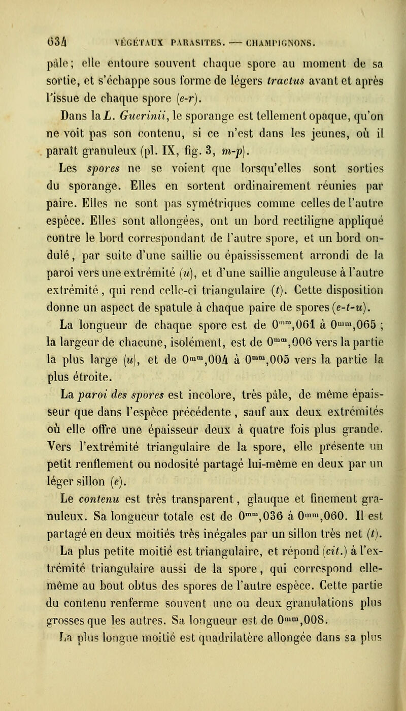 pâle; elle entoure souvent chaque spore au moment de sa sortie, et s'échappe sous l'orme de légers tractus avant et après l'issue de chaque spore (e-r). Dans lai. Gtierinii, le sporange est tellement opaque, qu'on ne voit pas son contenu, si ce n'est dans les jeunes, où il paraît granuleux (pi. IX, fig. 3, m-p). Les spores ne se voient que lorsqu'elles sont sorties du sporange. Elles en sortent ordinairement réunies par paire. Elles ne sont pas symétriques comme celles de l'autre espèce. Elles sont allongées, ont un bord rectiligne appliqué contre le bord correspondant de l'autre spore, et un bord on- dulé, par suite d'une saillie ou épaississement arrondi de la paroi vers une extrémité (u), et d'une saillie anguleuse à l'autre extrémité, qui rend celle-ci triangulaire (t). Cette disposition donne un aspect de spatule à chaque paire de spores (e-t-u). La longueur de chaque spore est de 0mQ,,061 à 0ulm,065 ; la largeur de chacune, isolément, est de 0mm,006 vers la partie la plus large [u], et de 0mm,004 à 0mm,005 vers la partie la plus étroite. La paroi des spores est incolore, très pâle, de même épais- seur que dans l'espèce précédente , sauf aux deux extrémités où elle offre une épaisseur deux à quatre fois plus grande. Vers l'extrémité triangulaire de la spore, elle présente un petit renflement ou nodosité partagé lui-même en deux par un léger sillon (e). Le contenu est très transparent, glauque et finement gra- nuleux. Sa longueur totale est de 0mm,036 à 0ram,060. Il est partagé en deux moitiés très inégales par un sillon très net (t). La plus petite moitié est triangulaire, et répond (cit.) à l'ex- trémité triangulaire aussi de la spore, qui correspond elle- même au bout obtus des spores de l'autre espèce. Cette partie du contenu renferme souvent une ou deux granulations plus grosses que les autres. Sa longueur est de 0,um,008. La plus longue moitié est quadrilatère allongée dans sa pins