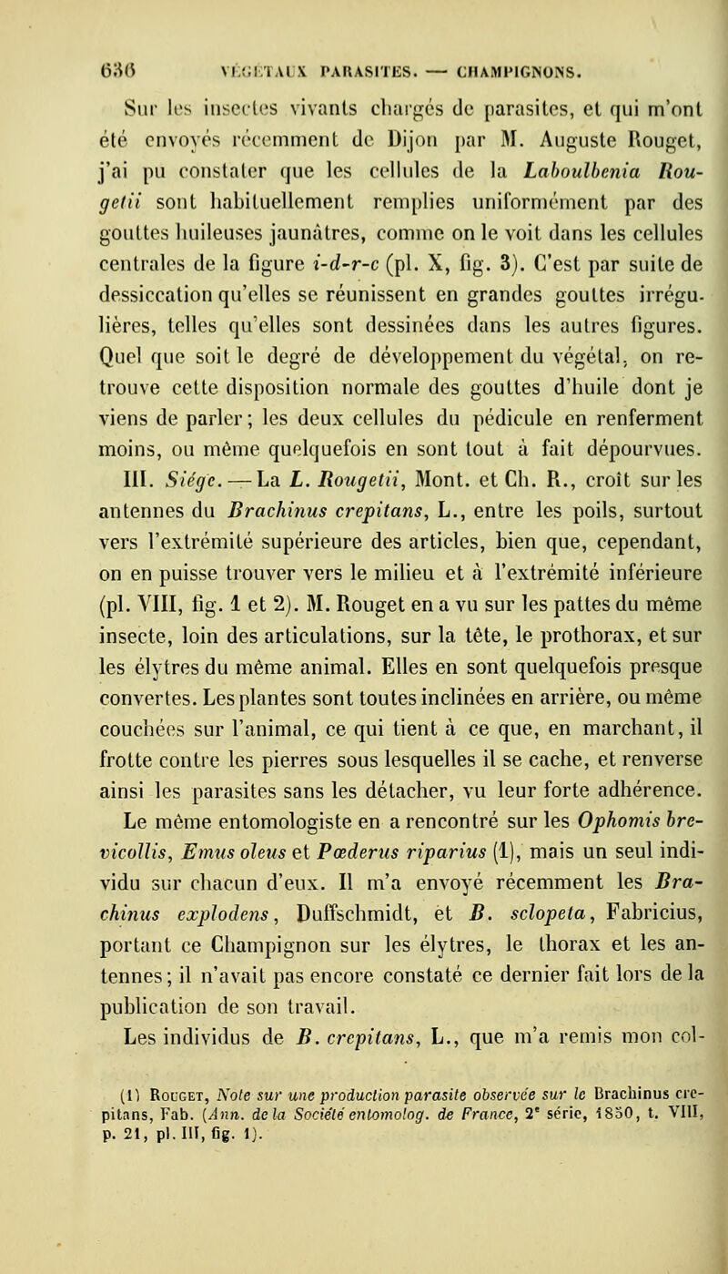 Sur les insectes vivants chargés de parasites, et qui m'ont été envoyés récemment de Dijon par M. Auguste Rouget, j'ai pu constater que les cellules de la Laboulbcnia Rou- gelii sont habituellement remplies uniformément par des gouttes huileuses jaunâtres, comme on le voit dans les cellules centrales de la figure i-d-r-c (pi. X, fig. 3). C'est par suite de dessiccation qu'elles se réunissent en grandes gouttes irrégu- lières, telles qu'elles sont dessinées dans les autres ligures. Quel que soit le degré de développement du végétal, on re- trouve cette disposition normale des gouttes d'huile dont je viens de parler ; les deux cellules du pédicule en renferment, moins, ou même quelquefois en sont tout à fait dépourvues. III. Siège — La L. Iiougetii, Mont, et Ch. R., croît sur les antennes du Brachinus crepitans, L., entre les poils, surtout vers l'extrémité supérieure des articles, bien que, cependant, on en puisse trouver vers le milieu et à l'extrémité inférieure (pi. VIII, fig. 1 et 2). M. Rouget en a vu sur les pattes du même insecte, loin des articulations, sur la tête, le prothorax, et sur les élytres du même animal. Elles en sont quelquefois presque convertes. Les plantes sont toutes inclinées en arrière, ou même couchées sur l'animal, ce qui tient à ce que, en marchant, il frotte contre les pierres sous lesquelles il se cache, et renverse ainsi les parasites sans les détacher, vu leur forte adhérence. Le même entomologiste en a rencontré sur les Ophomis bre- vicollis, Emus oleus et Pœderus riparius (1), mais un seul indi- vidu sur chacun d'eux. Il m'a envoyé récemment les Bra- chinus explodens, Duffschmidt, et B. sclopeta, Fabricius, portant ce Champignon sur les élytres, le thorax et les an- tennes; il n'avait pas encore constaté ce dernier fait lors de la publication de son travail. Les individus de B. crepitans, L., que m'a remis mon col- in Rouget, Note sur une production parasite observée sur le Brachinus cre- pitans, Fab. (Ann. delà Société enlomotog. de France, V série, 1850, t. VIII,