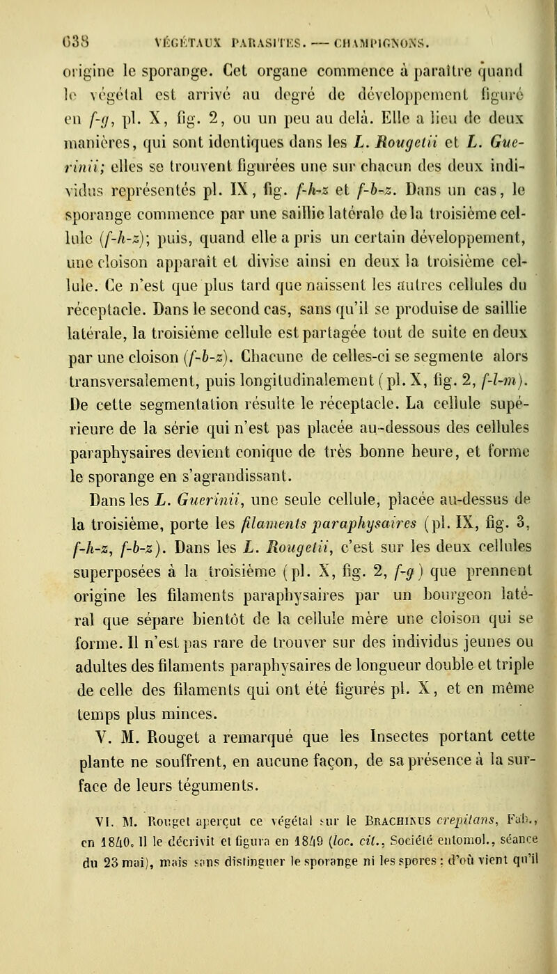 origine le sporange. Cet organe commence à paraître quand le végétal est arrivé au degré de développement figuré en f-g, pi. X, fig. 2, ou un peu au delà. Elle a lieu de deux manières, qui sont identiques dans les L. Rougelii et L. Gue- rinii; elles se trouvent figurées une sur chacun des deux indi- vidus représentés pi. IX, fig. f-h-z et f-b-z. Dans un cas, le sporange commence par une saillie latérale delà troisième cel- lule (f-h-z); puis, quand elle a pris un certain développement, une cloison apparaît et divise ainsi en deux la troisième cel- lule. Ce n'est que plus tard que naissent les autres cellules du réceptacle. Dans le second cas, sans qu'il se produise de saillie latérale, la troisième cellule est partagée tout de suite en deux par une cloison (f-b-z). Chacune de celles-ci se segmente alors transversalement, puis longitudinalement (pi. X, fig. 2, f-l-m). De cette segmentation résulte le réceptacle. La cellule supé- rieure de la série qui n'est pas placée au-dessous des cellules paraphysaires devient conique de très bonne heure, et forme le sporange en s'agrandissant. Dans les L. Guerïnii, une seule cellule, placée au-dessus de la troisième, porte les filaments paraphysaires (pi. IX, fig. 3, f-h-z, f-b-z). Dans les L. Rougelii, c'est sur les deux cellules superposées à la troisième (pi. X, fig. 2, f-g) que prennent origine les filaments paraphysaires par un bourgeon laté- ral que sépare bientôt de la cellule mère une cloison qui se forme. Il n'est pas rare de trouver sur des individus jeunes ou adultes des filaments paraphysaires de longueur double et triple de celle des filaments qui ont été figurés pi. X, et en même temps plus minces. V. M. Rouget a remarqué que les Insectes portant cette plante ne souffrent, en aucune façon, de sa présence à la sur- face de leurs téguments. VI. M. Rouget aperçut ce végétal fur le Brachikus crepUa-ns, Fan., en 1840,11 le décrivit et figura en 18Z|9 (loc. cil., Société enlomol., séance