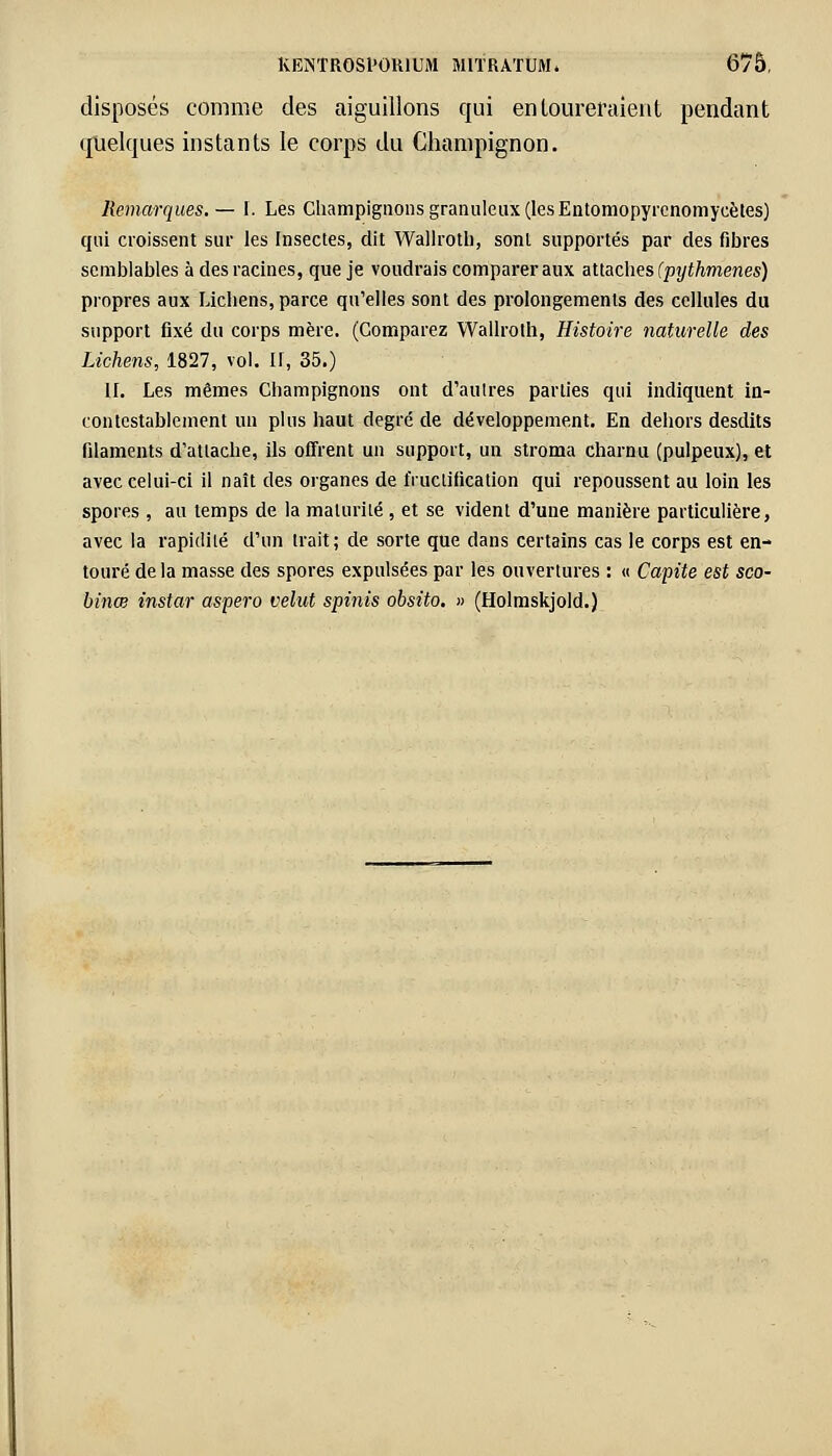 disposés comme des aiguillons qui entoureraient pendant quelques instants le corps du Champignon. Remarques. — 1. Les Champignons granuleux (les Entomopyrcnomycètes) qui croissent sur les Insectes, dit Wallroth, sont supportés par des fibres semblables à des racines, que je voudrais comparer aux attaches (pythmenes) propres aux Lichens, parce qu'elles sont des prolongements des cellules du support fixé du corps mère. (Comparez Wallrotn, Histoire naturelle des Lichens, 1827, vol. II, 35.) II. Les mêmes Champignons ont d'autres parties qui indiquent in- contestablement un plus haut degré de développement. En dehors desdits filaments d'attache, ils offrent un support, un stroma charnu (pulpeux), et avec celui-ci il naît des organes de fructification qui repoussent au loin les spores , au temps de la malurilé , et se vident d'une manière particulière, avec la rapidité d'un trait; de sorte que dans certains cas le corps est en- touré de la masse des spores expulsées par les ouvertures : « Capite est sco- binœ instar aspero velut spinis obsito. » (Holmskjold.)