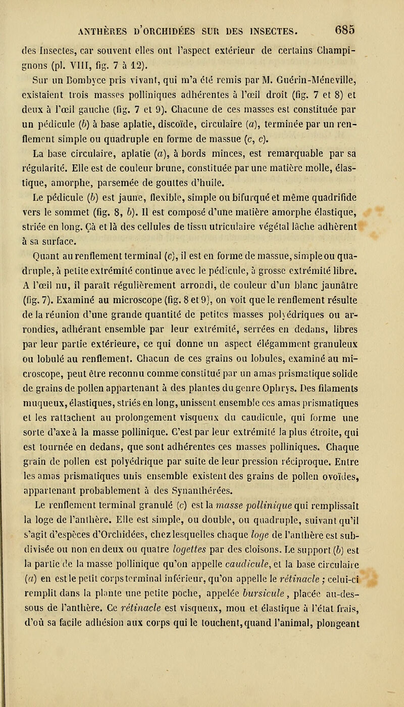 des Insectes, car souvent elles ont l'aspect extérieur de certains Champi- gnons (pi. VIII, fig. 7 à 12). Sur un Bombyce pris vivant, qui m'a été remis par M. Guérin-Méneville, existaient trois masses polliniques adhérentes à l'œil droit (fig. 7 et 8) et deux à l'œil gauche (fig. 7 et 9). Chacune de ces masses est constituée par un pédicule (b) à base aplatie, discoïde, circulaire (a), terminée par un ren- flement simple ou quadruple en forme de massue (c, c). La base circulaire, aplatie (a), à bords minces, est remarquable par sa régularité. Elle est de couleur brune, constituée par une matière molle, élas- tique, amorphe, parsemée de gouttes d'huile. Le pédicule (b) est jaune, flexible, simple ou bifurqué et même quadrifide vers le sommet (fig. 8, b). Il est composé d'une matière amorphe élastique, striée en long. Gà et là des cellules de tissu utriculaire végétal lâche adhèrent à sa surface. Quant au renflement terminal (c), il est en forme de massue, simple ou qua- druple, à petite extrémité continue avec le pédicule, à grosse extrémité libre. A l'œil nu, il paraît régulièrement arrondi, de couleur d'un blanc jaunâtre (fig. 7). Examiné au microscope (fig. 8 et 9), on voit que le renflement résulte de la réunion d'une grande quantité de petites masses polyédriques ou ar- rondies, adhérant ensemble par leur extrémité, serrées en dedans, libres par leur partie extérieure, ce qui donne un aspect élégamment granuleux ou lobule au renflement. Chacun de ces grains ou lobules, examiné au mi- croscope, peut être reconnu comme constitué par un amas prismatique solide de grains de pollen appartenant à des plantes du genre Ophrys. Des filaments muqueux, élastiques, striés en long, unissent ensemble ces amas prismatiques et les rattachent au prolongement visqueux du caudicule, qui forme une sorte d'axe à la masse pollinique. C'est par leur extrémité la plus étroite, qui est tournée en dedans, que sont adhérentes ces masses polliniques. Chaque grain de pollen est polyédrique par suite de leur pression réciproque. Entre les amas prismatiques unis ensemble existent des grains de pollen ovoïdes, apparlenant probablement à des Synanlhérées. Le renflement terminal granulé (c) est la masse pollinique qui remplissait la loge de l'anthère. Elle est simple, ou double, ou quadruple, suivant qu'il s'agit d'espèces d'Orchidées, chez lesquelles chaque loge de l'anthère est sub- divisée ou non en deux ou quatre logettes par des cloisons. Le support (b) est la partie de la masse pollinique qu'on appelle caudicule, et la base circulaire (a) en est le petit corps terminal inférieur, qu'on appelle le rétinacle ; celui-ci remplit dans la plante une petite poche, appelée bursicule, placée au-des- sous de l'anthère. Ce rétinacle est visqueux, mou et élastique à l'étal frais, d'où sa facile adhésion aux corps qui le touchent,quand l'animal, plongeant
