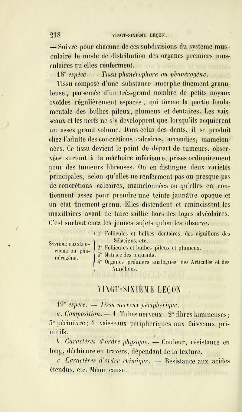 — Suivre pour chacune de ces subdivisions du système mus - culaire le mode de distribution des organes premiers mus- culaires qu'elles renferment. 18'' espèce. — Tissu phanérophore ou phanérogène. Tissu composé d'une substance amorphe finement granu- leuse, parsemée d'un très-grand nombre de petits noyaux ovoïdes régulièrement espacés , qui forme la partie fonda- mentale des bulbes pileux, plumeux et dentaires. Les vais- seaux et les nerfs ne s'y développent que lorsqu'ils acquièrent un assez grand volume. Dans celui des dents, il se produit chez l'adulte des concrétions calcaires, arrondies, mamelon- nées. Ce tissu devient le point de départ de tumeurs, obser- vées surtout à la mâchoire inférieure, prises ordinairement pour des tumeurs fibreuses. On en distingue deux variétés principales, selon qu'elles ne renferment pas ou presque pas de concrétions calcaires, mamelonnées ou qu'elles en con- tiennent assez pour prendre une teinte jaunâtre opaque et un état finement grenu. Elles distendent et amincissent les maxillaires avant de faire saillie hors des loges alvéolaires. C'est surtout chez les jeunes sujets qu'on les observe. V Follicules et bulbes dentaires, des aiguillons des o . ,1 Sélaciens, etc.. SYSTEME PHANERO- l « r, ,■■ . , , ,, , I 2° Follicules et bulbes pileux et plumeux. l'HORE ou pha- {.,,,., . ^ ^ ' 0° Matrice des piquants. 4° Organes premiers analogues des Articulés et des Annélides. nerogene. VINGT-SIXIÈME LEÇON , 19 espèce. — Tissu nerveux péripliériciue. a. Composition. — 1 Tubes nerveux ; 2° fibres lamineuses ; 5'' périnèvre ; ¥ vaisseaux périphériques aux faisceaux pri- mitifs. h. Caractères (Vordre plujsiijue. — Couleur, résistance en long, déchirure en travers, dépendant de la texture. c. Caractères (l'ordre chimique. — Résistance aux acides étendus, etc. Même cause.