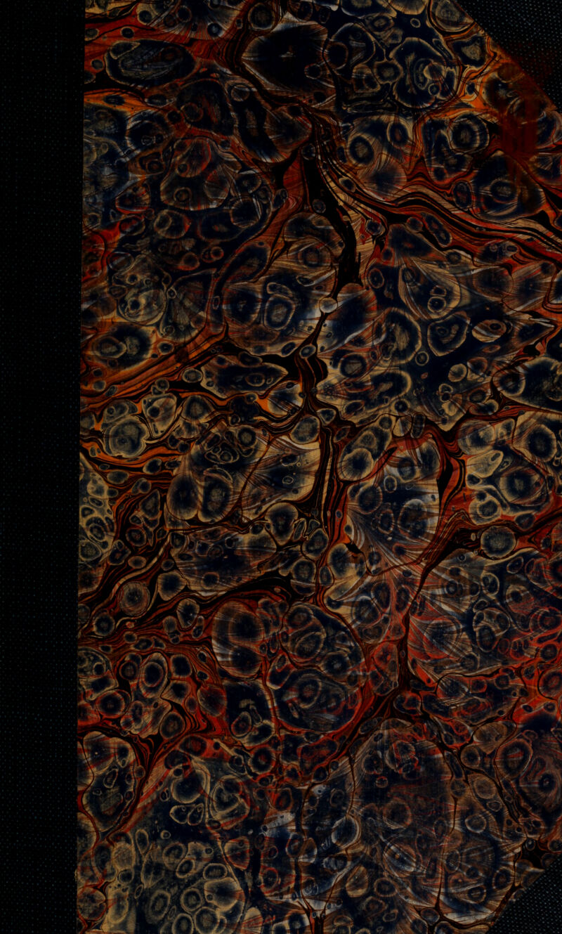 > s~ • . v '■•*\% f SO m ; w w n ' ■ »'■ PE2JBr' s> # >**H3^E  WmS Û Jwv^ '♦/ ' / . i i W^\< fts, . -.—- ^gsté/ **'•'•■ v ^HnKfllp ' ' ^^ V^- <fl L .• - •' •' \ v: - IW -^S**^