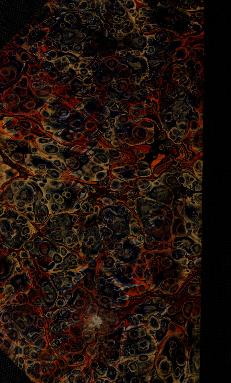 J$^0* >m y ^r ^ v>- ^'^sr^ ■• ^: ». 3^ ^ > :^ 3^< ^ /] WÊÊÉl^ ^P^^tUMoL ^ Wfc> \ il. y ■ %*$ » — >s~è*i ■■^^.m j •^^ *> ** V r *Ëtf - y -^r 'S. ' ^ ' JT t «: . f''