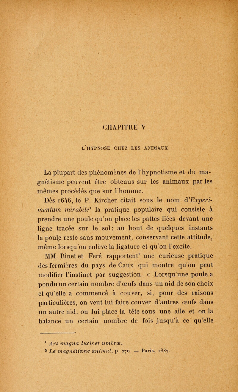 L HYPNOSE CFIEZ LES ANIMAUX La plupart des phénomènes de l'hypnotisme et du ma- gnétisme peuvent être obtenus sur les animaux par les mêmes procédés que sur Thomme. Dès i646, le P. Kircher citait sous le nom d'Experi- mentum mirahile^ la pratique populaire qui consiste à prendre une poule qu'on place les pattes lices devant une ligne tracée sur le sol; au bout de quelques instants la poule reste sans mouvement, conservant cette attitude, même lorsqu'on enlève la ligature et qu'on l'excite. MM. Binet et Feré rapportent* une curieuse pratique des fermières du pays de Caux qui montre qu'on peut modifier l'instinct par suggestion. « Lorsqu'une poule a pondu un certain nombre d'oeufs dans un nid de son choix et qu'elle a commencé à couver, si, pour des raisons particulières, on veut lui faire couver d'autres œufs dans un autre nid, on lui place la tête sous une aile et on la balance un certain nombre de fois jusqu'à ce qu'elle ^ Ars magna luciset umbrœ. ' Le magnétisme animal, p. 270 — Paris, 1887.