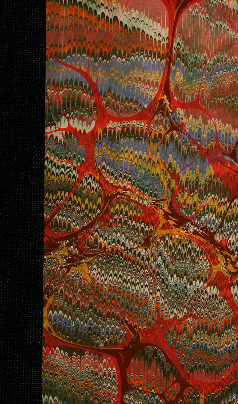 n*lwMi% SAi lii4 ill ^'■v*.A'