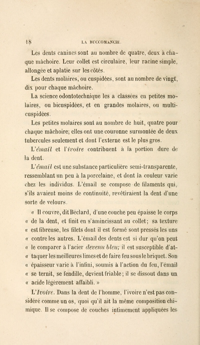 Les dents canines sont au nombre de quatre, deux à cha- que mâchoire. Leur collet est circulaire, leur racine simple^ allongée et aplatie sur les côtés. Les dents molaires, ou cuspidées, sont au nombre de vingt, dix pour chaque mâchoire. La science odontotechnique les a classées en petites mo- laires, ou bicuspidéeSy et en grandes molaires, ou multi- cuspidées. Les petites molaires sont au nombre de huit, quatre pour chaque mâchoire; elles ont une couronne surmontée de deux tubercules seulement et dont l'externe est le plus gros. Vémail et Ywoire contribuent à la portion dure de la dent. L'émail est une substance particulière semi-transparente, ressemblant un peu à la porcelaine, et dont la couleur varie chez les individus. L'émail se compose de filaments qui, s'ils avaient moins de continuité, revêtiraient la dent d'une sorte de velours, a II couvre, ditBéclard, d'une couche peu épaisse le corps « de la dent, et finit en s'amincissant au collet; sa texture « est fibreuse, les filets dont il est formé sont pressés les uns c( contre les autres. L'émail des dents est si dur qu'on peut c( le comparer à l'acier devenu bleu; il est susceptible d'at- cf taquer les meilleures limes et de faire feu sous le briquet. Son « épaisseur varie à l'infini, soumis à l'action du feu, l'émail c( se ternit, se fendille, devient friable ; il se dissout dans un c< acide légèrement aiîaibli. » VIvoire. Dans la dent de l'homme, l'ivoire n'est pas con- sidéré comme un os, quoi qu'il ait la même composition chi- mique. 11 se compose de couches intimement appliquées les