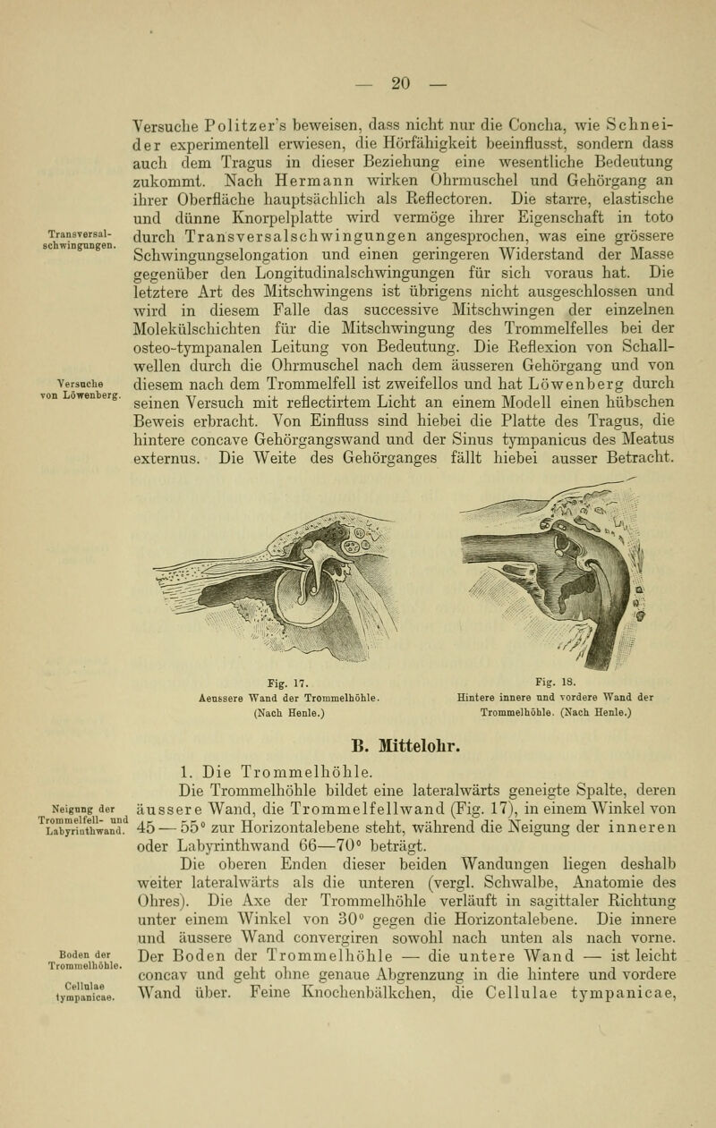 Transversal- schwingungen. Versuche von Löwenberg. Versuche Politzer's beweisen, dass nicht nur die Concha, wie Schnei- der experimentell erwiesen, die Hörfähigkeit beeinflusst, sondern dass auch dem Tragus in dieser Beziehung eine wesentliche Bedeutung zukommt. Nach Hermann wirken Ohrmuschel und Gehörgang an ihrer Oberfläche hauptsächlich als Reflectoren. Die starre, elastische und dünne Knorpelplatte wird vermöge ihrer Eigenschaft in toto durch Transversalschwingungen angesprochen, was eine grössere Schwingungselongation und einen geringeren Widerstand der Masse gegenüber den Longitudinalschwingungen für sich voraus hat. Die letztere Art des Mitschwingens ist übrigens nicht ausgeschlossen und wird in diesem Falle das successive Mitschwingen der einzelnen Molekülschichten für die Mitschwingung des Trommelfelles bei der osteo-tympanalen Leitung von Bedeutung. Die Reflexion von Schall- wellen durch die Ohrmuschel nach dem äusseren Gehörgang und von diesem nach dem Trommelfell ist zweifellos und hat Löwenberg durch seinen Versuch mit reflectirtem Licht an einem Modell einen hübschen Beweis erbracht. Von Einfluss sind hiebei die Platte des Tragus, die hintere concave Gehörgangswand und der Sinus tympanicus des Meatus externus. Die Weite des Gehörganges fällt hiebei ausser Betracht. Fig. 17. Aeussere Wand der Trommelhöhle. (Nach Henle.) Fig. 18. Hintere innere und vordere Wand der Trommelhöhle. (Nach Henle.) B. Mittelohr. 1. Die Trommelhöhle. Die Trommelhöhle bildet eine lateralwärts geneigte Spalte, deren Neigung der äussere Wand, die Trommelfellwand (Fig. 17), in einem Winkel von Labyrluthwand. 45— 55° zur Horizontalebene steht, während die Neigung der inneren oder Labyrinthwand 66—70° beträgt. Die oberen Enden dieser beiden Wandungen liegen deshalb weiter lateralwärts als die unteren (vergl. Schwalbe, Anatomie des Ohres). Die Axe der Trommelhöhle verläuft in sagittaler Richtung unter einem Winkel von 30° gegen die Horizontalebene. Die innere und äussere Wand convergiren sowohl nach unten als nach vorne. Der Boden der Trommelhöhle — die untere Wand — ist leicht concav und geht ohne genaue Abgrenzung in die hintere und vordere Wand über. Feine Knochenbälkchen, die Cellulae tympanicae, Boden der Trommelhöhle. Cellnlae lympanicae.
