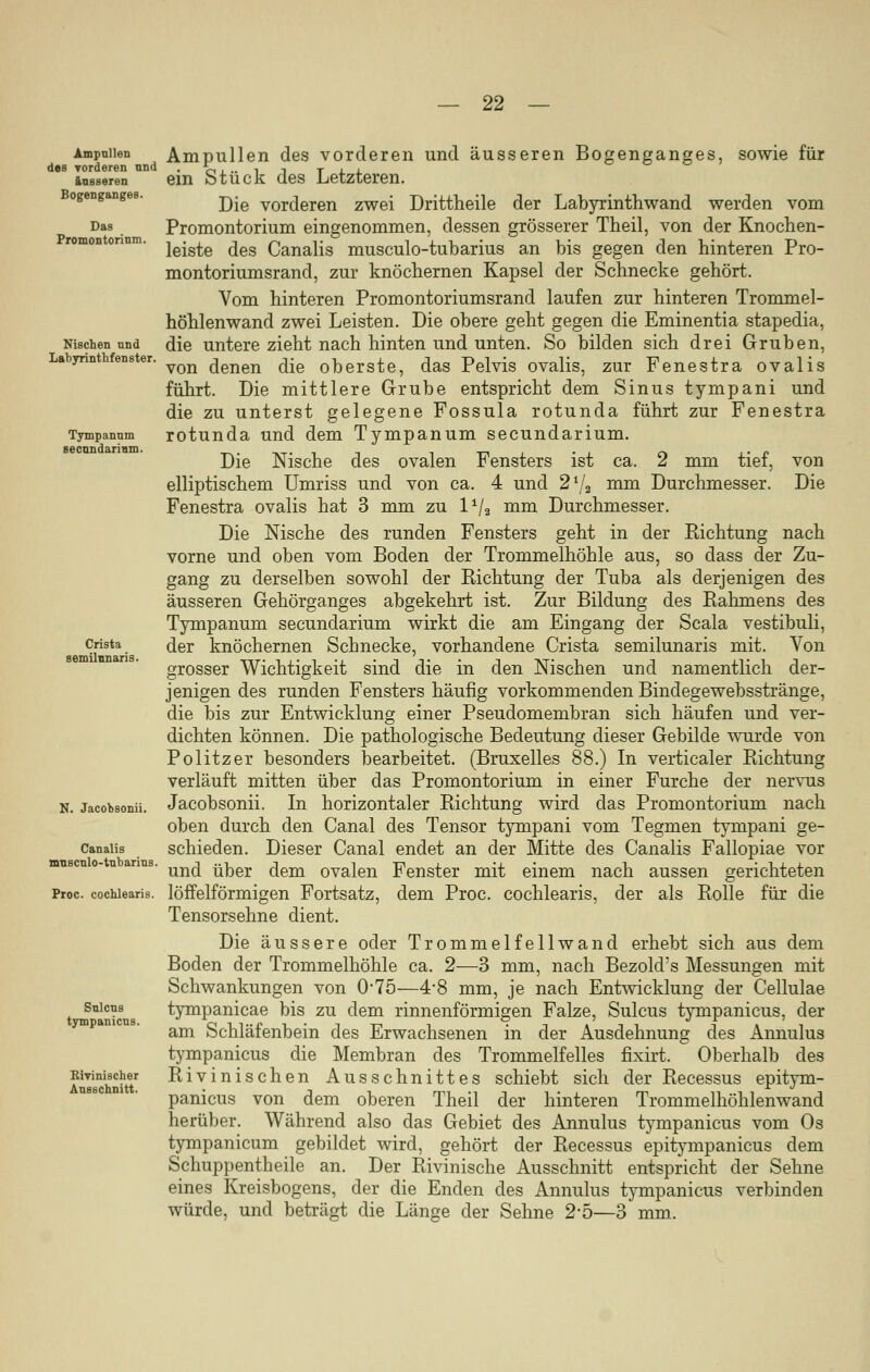 Ampullen des Torderen und äusseren Bogenganges. Das Promontorium. Nischen nnd Lahyrinthf en ster. Tympanum secnndarinm. Crista semilunaris. N. Jacotsonii. Canalis musculo-tubarius. Proc. cochlearis. Sulcns tympanicus. Rivinischer Ausschnitt. Ampullen des vorderen und äusseren Bogenganges, sowie für ein Stück des Letzteren. Die vorderen zwei Drittheile der Labyrinthwand werden vom Promontorium eingenommen, dessen grösserer Theil, von der Knochen- leiste des Canalis musculo-tubarius an bis gegen den hinteren Pro- montoriumsrand, zur knöchernen Kapsel der Schnecke gehört. Vom hinteren Promontoriumsrand laufen zur hinteren Trommel- höhlenwand zwei Leisten. Die obere geht gegen die Eminentia stapedia, die untere zieht nach hinten und unten. So bilden sich drei Gruben, von denen die oberste, das Pelvis ovalis, zur Fenestra ovalis führt. Die mittlere Grube entspricht dem Sinus tympani und die zu unterst gelegene Fossula rotunda führt zur Fenestra rotunda und dem Tympanum secundarium. Die Nische des ovalen Fensters ist ca. 2 mm tief, von elliptischem Umriss und von ca. 4 und 21/a mm Durchmesser. Die Fenestra ovalis hat 3 mm zu l1/2 mm Durchmesser. Die Nische des runden Fensters geht in der Richtung nach vorne und oben vom Boden der Trommelhöhle aus, so dass der Zu- gang zu derselben sowohl der Richtung der Tuba als derjenigen des äusseren Gehörganges abgekehrt ist. Zur Bildung des Rahmens des Tympanum secundarium wirkt die am Eingang der Scala vestibuli, der knöchernen Schnecke, vorhandene Crista semilunaris mit. Von grosser Wichtigkeit sind die in den Nischen und namentlich der- jenigen des runden Fensters häufig vorkommenden Bindegewebsstränge, die bis zur Entwicklung einer Pseudomembran sich häufen und ver- dichten können. Die pathologische Bedeutung dieser Gebilde wurde von Politzer besonders bearbeitet. (Bruxelles 88.) In verticaler Richtung verläuft mitten über das Promontorium in einer Furche der nervus Jacobsonii. In horizontaler Richtung wird das Promontorium nach oben durch den Canal des Tensor tympani vom Tegmen tympani ge- schieden. Dieser Canal endet an der Mitte des Canalis Fallopiae vor und über dem ovalen Fenster mit einem nach aussen gerichteten löffeiförmigen Fortsatz, dem Proc. cochlearis, der als Rolle für die Tensorsehne dient. Die äussere oder Trommelfellwand erhebt sich aus dem Boden der Trommelhöhle ca. 2—3 mm, nach Bezold's Messungen mit Schwankungen von 075—4-8 mm, je nach Entwicklung der Cellulae tympanicae bis zu dem rinnenförmigen Falze, Sulcus tympanicus, der am Schläfenbein des Erwachsenen in der Ausdehnung des Annulus tympanicus die Membran des Trommelfelles fixirt. Oberhalb des Rivinischen Ausschnittes schiebt sich der Recessus epitym- panicus von dem oberen Theil der hinteren Trommelhöhlenwand herüber. Während also das Gebiet des Annulus tympanicus vom Os tympanicum gebildet wird, gehört der Recessus epitympanicus dem Schuppentheile an. Der Rivinische Ausschnitt entspricht der Sehne eines Kreisbogens, der die Enden des Annulus tympanicus verbinden würde, und beträgt die Länge der Sehne 2'5—3 mm.