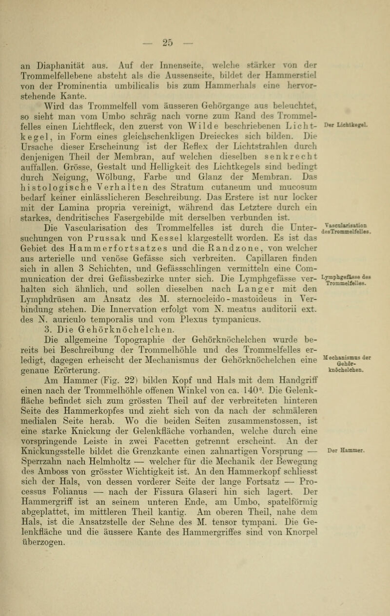 Vasen) arisatior. desTromnselfelles. Lymphgefäße des Trommelfelles. an Diaphanität aus. Auf der Innenseite, «reiche stärker \<>u <l<-r Trommelfellebene absteW als die Anssenseite, bildet der Hammerstiel von der Prominentia umbilicalis bis zum Hammerhais eine herror- stehende Kante. Wird das Trommelfell vom äusseren Gehörgange aus beleuchi so sieht man vom Umbo schräg nach vorne zum Rand de« Trommel- felles einen Lichtfleck, den zuerst von Wilde beschriebenen Lichl -MUgti kegel, in Form eines gleichschenkligen Dreieckes sich bilden. Die Ursache dieser Erscheinung ist der Reflex der Lichtstrahlen durch denjenigen Theil der Membran, auf welchen dieselben senkrecht auffallen. Grösse, Gestalt und Helligkeit des Lichtkegels sind bedingt durch Neigung, Wölbung, Farbe und Glanz der Membran. D histologische Verhalten des Stratum cutaneum und mueosum bedarf keiner einlässlicheren Beschreibung. Las Erstere ist nur locker mit der Lamina propria vereinigt, während das Letztere durch ein starkes, dendritisches Fasergebilde mit derselben verbunden ist. Die Vascularisation des Trommelfelles ist durch die Unter- suchungen von Prussak und Kessel klargestellt worden. Es ist das Gebiet des Hammerfortsatzes und die Randzone, von welcher aus arterielle und venöse Gefässe sich verbreiten. Capillaren finden sich in allen 3 Schichten, und Gefässschlingen vermitteln eine Com- munication der drei Gefässbezirke unter sich. Die Lymphgefässe ver- halten sich ähnlich, und sollen dieselben nach Langer mit den Lymphdrüsen am Ansatz des M. sternocleido - mastoideus in Ver- bindung stehen. Die Innervation erfolgt vom N. meatus auditorii ext. des N. auriculo temporalis und vom Plexus tympanicus. 3. Die Gehörknöchelchen. Die allgemeine Topographie der Gehörknöchelchen wurde be- reits bei Beschreibung der Trommelhöhle und des Trommelfelles er- ledigt, dagegen erheischt der Mechanismus der Gehörknöchelchen eine genaue Erörterung. Am Hammer (Fig. 22) bilden Kopf und Hals mit dem Handgriff einen nach der Trommelhöhle offenen Winkel von ca. 140°. Die Gelenk- fläche befindet sich zum grössten Theil auf der verbreiteten hinteren Seite des Hammerkopfes und zieht sich von da nach der schmäleren medialen Seite herab. Wo die beiden Seiten zusammenstossen. ist eine starke Knickung der Gelenkfläche vorhanden, welche durch eine vorspringende Leiste in zwei Facetten getrennt erscheint. An der Knickungsstelle bildet die Grenzkante einen zahnartigen Vorsprung — Sperrzahn nach Helmlioltz — welcher für die Mechanik der Bewegung des Amboss von grösster Wichtigkeit ist. An den Hammerkopf schliesst sich der Hals, von dessen vorderer Seite der lange Fortsatz — Pro- cessus Folianus — nach der Fissura Glaseri hin sich lagert. Der Hammergriff ist an seinem unteren Ende, am Umbo, spateiförmig abgeplattet, im mittleren Theil kantig. Am oberen Theil, nahe dem Hals, ist die Ansatzstelle der Sehne des M. tensor tympani. Die Ge- lenkfläche und die äussere Kante des Hammergriffes sind von Knorpel überzogen. Mechanismus der Gehör- knöchelchen. Der Hammer.
