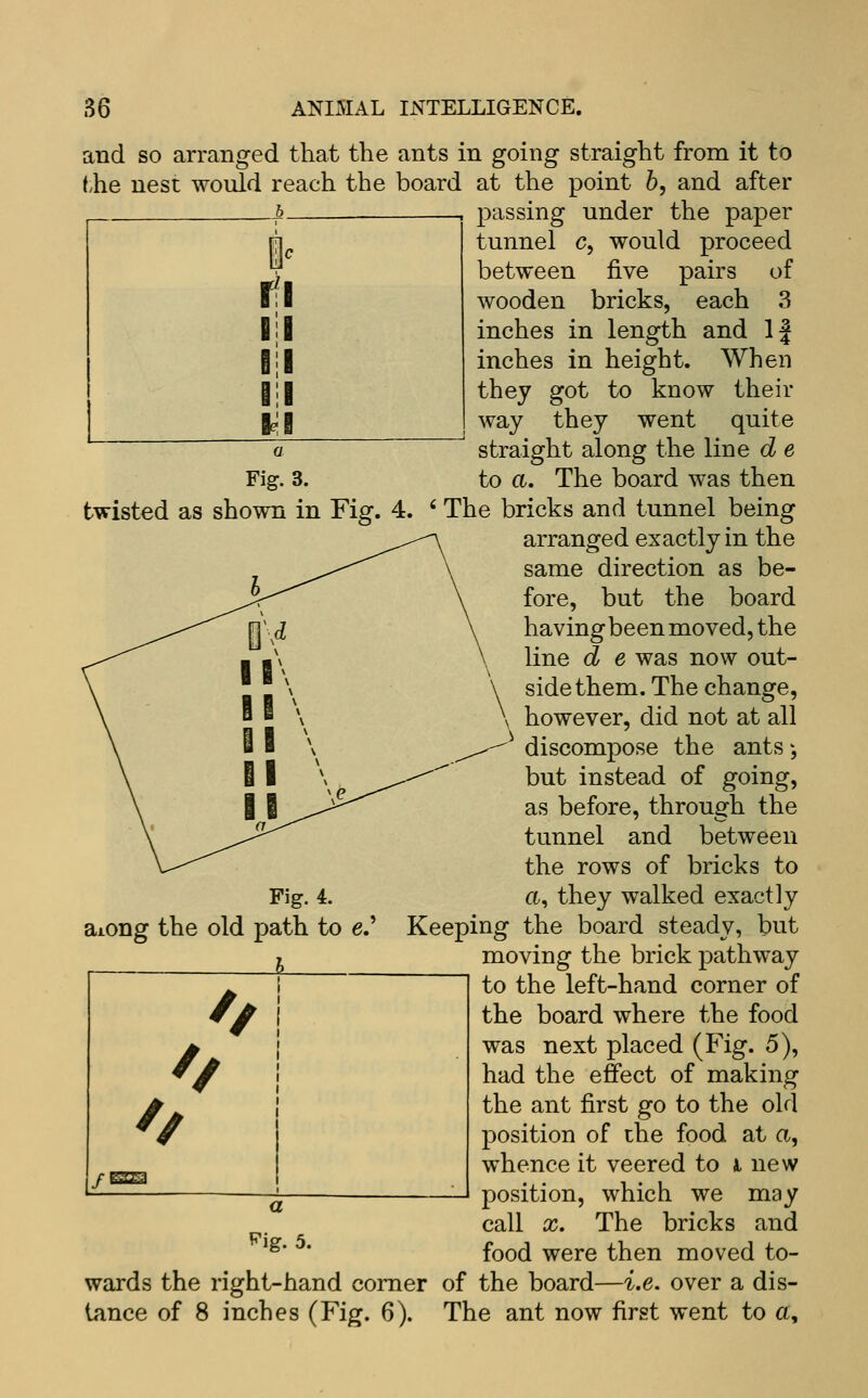 and so arranged that the ants in going straight from it to the nest would reach the board at the point b, and after passing under the paper tunnel c, would proceed between five pairs of wooden bricks, each 3 inches in length and 1| inches in height. When they got to know their way they went quite straight along the line d e Fig. 3. to a. The board was then twisted as shown in Fig. 4. ' The bricks and tunnel being arranged exactly in the same direction as be- fore, but the board having been moved, the line d e was now out- side them. The change, however, did not at all discompose the ants -, but instead of going, as before, through the tunnel and between the rows of bricks to Fig. 4. (X, they walked exactly aiong the old path to e.^ Keeping the board steady, but J moving the brick pathway to the left-hand corner of the board where the food was next placed (Fig. 5), had the effect of making the ant first go to the old position of the food at a, whence it veered to i new position, which we may call X. The bricks and ^^' ' food were then moved to- wards the right-hand comer of the board—i.e. over a dis- tance of 8 inches (Fig. 6). The ant now first went to a.