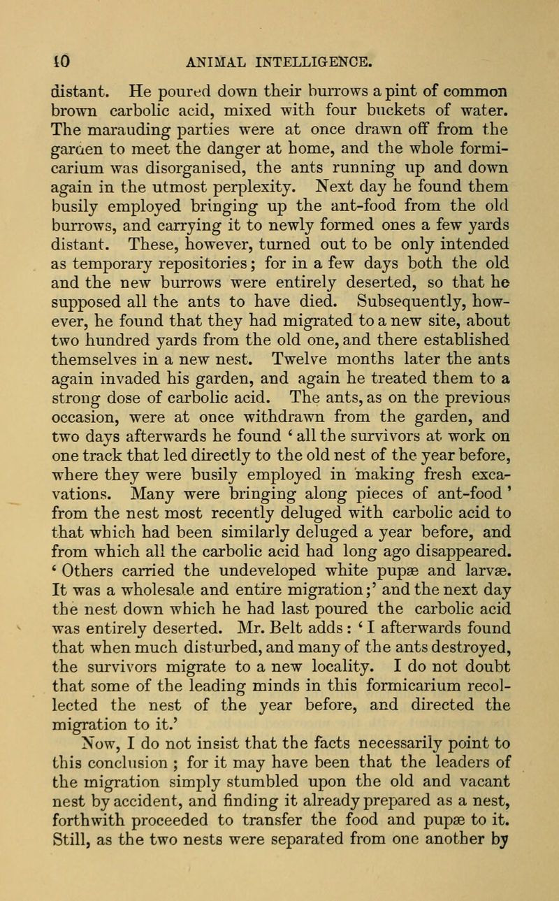 distant. He poured down their burrows a pint of common brown carbolic acid, mixed with four buckets of water. The marauding parties were at once drawn off from the garaen to meet the danger at home, and the whole formi- carium was disorganised, the ants running up and down again in the utmost perplexity. Next day he found them busily employed bringing up the ant-food from the old burrows, and carrying it to newly formed ones a few yards distant. These, however, turned out to be only intended as temporary repositories; for in a few days both the old and the new burrows were entirely deserted, so that he supposed all the ants to have died. Subsequently, how- ever, he found that they had migrated to a new site, about two hundred yards from the old one, and there established themselves in a new nest. Twelve months later the ants again invaded his garden, and again he treated them to a strong dose of carbolic acid. The ants, as on the previous occasion, were at once withdrawn from the garden, and two days afterwards he found ^ all the survivors at work on one track that led directly to the old nest of the year before, where they were busily employed in making fresh exca- vations. Many were bringing along pieces of ant-food ' from the nest most recently deluged wdth carbolic acid to that which had been similarly deluged a year before, and from which all the carbolic acid had long ago disappeared. ' Others carried the undeveloped white pupae and larvae. It was a wholesale and entire migration;' and the next day the nest down which he had last poured the carbolic acid was entirely deserted. Mr. Belt adds : ' I afterwards found that when much disturbed, and many of the ants destroyed, the survivors migrate to a new locality. I do not doubt that some of the leading minds in this formicarium recol- lected the nest of the year before, and directed the migration to it.' Now, I do not insist that the facts necessarily point to this conclusion ; for it may have been that the leaders of the migration simply stumbled upon the old and vacant nest by accident, and finding it already prepared as a nest, forthwith proceeded to transfer the food and pupae to it. Still, as the two nests were separated from one another bj?