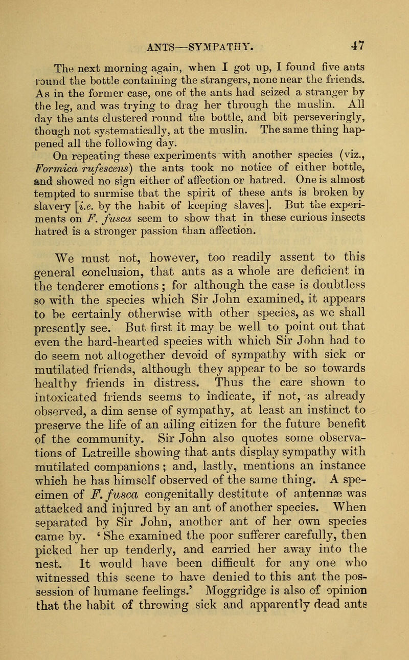 The next morning again, when I got up, I found five ants i-Diind the bottle containing the strangers, none near the friends. As in the former case, one of the ants had seized a stranger by the leg, and was trying to drag her through the muslin. All day the ants clustered round the bottle, and bit perseveringly, though not systematically, at the muslin. The same thing hap- pened all the following day. On repeating these experiments with another species (viz., Formica rufescens) the ants took no notice of either bottle, and shov/ed no sign either of affection or hatred. One is almost tempted to surmise that the spirit of these ants is broken by slavery \i.e. by the habit of keeping slaves]. But the experi- ments on F. fusca seem to show that in these curious insects hatred is a stronger passion than affection. We must not, however, too readily assent to this general conclusion, that ants as a whole are deficient in the tenderer emotions; for although the case is doubtless so with the species which Sir John examined, it appears to be certainly Otherwise with other species, as we shall presently see. But first it may be well to point out that even the hard-hearted species with which Sir John had to do seem not altogether devoid of sympathy with sick or mutilated friends, although they appear to be so towards healthy friends in distress. Thus the care shown to intoxicated friends seems to indicate, if not, as already observed, a dim sense of sympathy, at least an instinct to preserve the life of an ailing citizen for the future benefit of the community. Sir John also quotes some observa- tions of Latreille showing that ants display sympathy with mutilated companions ; and, lastly, mentions an instance which he has himself observed of the same thing. A spe- cimen of F. fusca congenitally destitute of antennae was attacked and injured by an ant of another species. When separated by Sir John, another ant of her own species came by. ' She examined the poor sufferer carefully, then picked her up tenderly, and carried her away into the nest. It would have been difficult for any one who vv^itnessed this scene to have denied to this ant the pos- session of humane feelings.' Moggridge is also of opinion that the habit of throwing sick and apparently dead ants