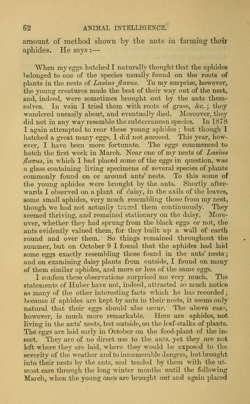 amount of method shown by the ants in farming their aphides. He says :— When my eggs hatched I naturally thought that the aphides belonged to one of the species usually found on the roots of plants in the nests of Lasius Jiavtis. To my surprise, however, the young creatures made the best of their way out of the nest, and, indeed, were sometimes brought out by the ants them- seh^es. In vain I tried them with roots of grass, &c.; thoy wandered uneasily about, and eventually died. Moreover, they did not in any way resemble the subterranean species. In 1878 I again attempted to rear these young aphides ; but though I hatched a great many eggs, I did not succeed. This year, how- ever, I have been more fortunate. The eggs commenced to hatch the first week in March. Near one of my nests of Lasius flavus, in which I had placed some of the eggs in question, was a glass containing living specimens of several species of plants commonly found on or around ants' nests. To this some of the young aphides were brought by the ants. Shortly after- wards I olDserved on a plant of daisy, in the axils of the leaves, some small aphides, very much resembling those from my nest, though we had not actually traced them continuously. They seemed thriving, and remained stationary on the daisy. More- over, whether they had sprung from the black eggs or not, the ants evidently valued them, for they built up a wall of earth round and over them. So things remained throughout the summer, but on October 9 I found that the aphides had laid some eggs exactly resembling those found in the ants' nests; and on examining daisy plants from outside, I found on many of them similar aphides, and more or less of the same eggs. I confess these observations surprised me very much. The statements of Huber have not, indeed, attracted so much notice as many of the other interesting facts which he has recorded ; because if aphides are kept by ants in their nests, it seems only natural that their eggs should also occur. The above case, however, is much more remarkable. Here are aphides, not living in the ants' nests, but outside, on the leaf-stalks of plants. The eggs are laid early in October on the food-plant of the in- sect. They are of no direct use to the ants, yet they are not left where they are laid, where they would be exposed to the severity of the weather and to innumerable dangers, but brought into their nests by the ants, and tended by them with the ut- most care through the long winter months until the following March, when tlie young ones are brought out and again placed