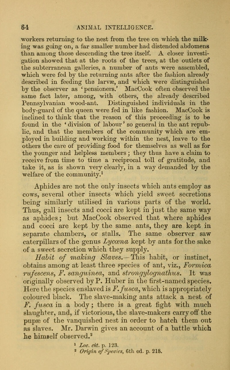 workers returning to the nest from the tree on which the milk- ing was going on, a far smaller number had distended abdomens than among those descending the tree itself. A closer investi- gation showed that at the roots of the trees, afc the outlets of the subterranean galleries, a number of ants were assembled, which were fed by the returning ants after the fashion already described in feeding the larvae, and which were distinguished by the observer as ' pensioners.' MacCook often observed the same fact later, among, with others, the already described Pennsylvanian wood-ant. Distinguished individuals in the body-guard of the queen were fed in like fashion. MacCook is inclined to think that the reason of this proceeding is to be found in the * division of labour' so general in the ant repub- lic, and that the members of the community which are em- ployed in building and working within the nest, leave to the others the care of providing food for themselves as well as for the younger and helpless members; they thus have a claim to receive from time to time a reciprocal toll of gratitude, and take it, as is shown very clearly, in a way demanded by the welfare of the community.^ Aphides are not the only insects which ants employ as cows, several other insects which yield sweet secretions being similarly utilised in various parts of the world. Thus, gall insects and cocci are kept in just the same way as aphides; but MacCook observed that where aphides and cocci are kept by the same ants, they are kept in separate chambers, or stalls. The same observer saw caterpillars of the genus Lycoenci kept by ants for the sake of a sweet secretion which they supply. Habit of making Slaves.— This habit, or instinct, obtains among at least three species of ant, viz., ForTYiica rufescens, F, sanguinea, and strongylognathus. It was originally observed by P. Huber in the first-named species. Here the species enslaved is F.fusca, which is appropriately coloured black. The slave-making ants attack a nest of F. fusca in a body; there is a great fight with much slaughter, and, if victorious, the slave-makers carry off the pupae of the vanquished nest in order to hatch them out as slaves. Mr. Darwin gives an account of a battle which he himself observed.^ 1 Zoc. cit. p. 123. 2 Orujin of Species, 6th ed. p. 218.