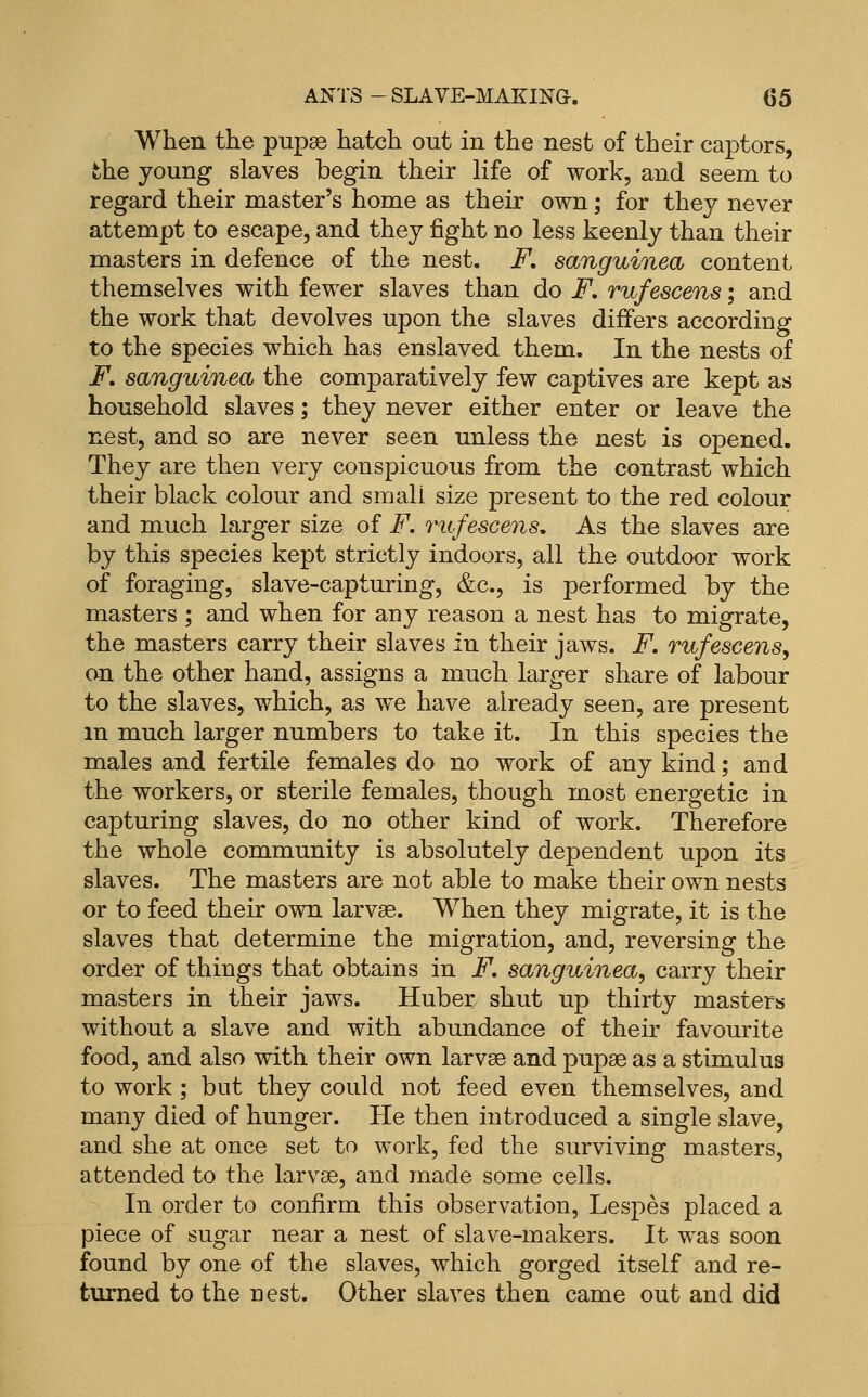 When the pupae hatch out in the nest of their captors, the young slaves begin their life of work, and seem to regard their master's home as their own; for they never attempt to escape, and they fight no less keenly than their masters in defence of the nest. F, sanguinea content themselves with fewer slaves than do F. rufescens; and the work that devolves upon the slaves differs according to the species which has enslaved them. In the nests of F, sanguinea the comparatively few captives are kept as household slaves; they never either enter or leave the nest, and so are never seen unless the nest is opened. They are then very conspicuous from the contrast which their black colour and small size present to the red colour and much larger size of F. rufescens. As the slaves are by this species kept strictly indoors, all the outdoor work of foraging, slave-capturing, &c., is performed by the masters ; and when for any reason a nest has to migrate, the masters carry their slaves in their jaws. F. rufescens, on the other hand, assigns a much larger share of labour to the slaves, which, as we have already seen, are present m much larger numbers to take it. In this species the males and fertile females do no work of any kind; and the workers, or sterile females, though most energetic in capturing slaves, do no other kind of work. Therefore the whole community is absolutely dependent upon its slaves. The masters are not able to make their own nests or to feed their ovni larvae. When they migrate, it is the slaves that determine the migration, and, reversing the order of things that obtains in F. sanguinea, carry their masters in their jaws. Huber shut up thirty masterts without a slave and with abundance of their favourite food, and also with their own larvae and pupae as a stimulus to work ; but they could not feed even themselves, and many died of hunger. He then introduced a single slave, and she at once set to work, fed the surviving masters, attended to the larvae, and made some cells. In order to confirm this observation, Lespes placed a piece of sugar near a nest of slave-makers. It was soon found by one of the slaves, which gorged itself and re- turned to the nest. Other slaves then came out and did