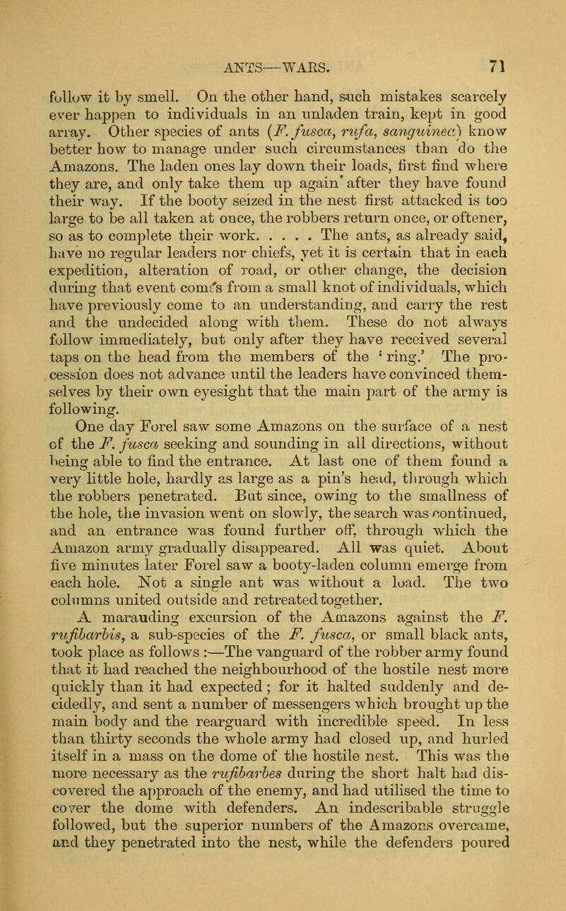 follow it by smell. On the other hand, s-iich mistakes scarcely ever happen to individuals in an nnladen train, kept in good array. Other species of ants {^F.fusca, rufa, sanguinea) know better how to manage under such circumstances than do the Amazons, The laden ones lay down their loads, first find where they are, and only take them up again' after they have found their way. If the booty seized in the nest first attacked is too large to be all taken at once, the robbers return once, or oftenor, so as to complete their work The ants, as already said, have no regular leaders nor chiefs, vet it is certain that in each expedition, alteration of road, or other change, the decision during that event comt^s from a small knot of individuals, which have previously come to an understanding, and carry the rest and the undecided along with them. These do not always follow immediately, but only after they have received several taps on the head from the members of the • ring.' The pro- cession does not advance until the leaders have convinced them- selves by their own eyesight that the main j^art of the army is following. One day Forel saw some Amazons on the surface of a nest of the F. fusca seeking and sounding in all directions, without being able to find the entrance. At last one of them found a very little hole, hardly as large as a pin's head, through which the robbers penetrated. But since, owing to the smallness of the hole, the invasion went on slowly, the search was continued, and an entrance was found further off, through which the Amazon army gradually disappeared. All was quiet. About five minutes later Forel saw a booty-laden column emerge from each hole. Not a single ant was without a load. The two columns united outside and retreated together. A maraudins: excursion of the Amazons asrainst the F. rufibarhis, a sub-species of the F. fusca, or small black ants, took place as follows :—The vanguard of the robber army found that it had reached the neighbourhood of the hostile nest more quickly than it had expected; for it halted suddenly and de- cidedly, and sent a number of messengers which brought up the main body and the rearguard with incredible speed. In less than thirty seconds the whole army had closed up, and hurled itself in a mass on the dome of the hostile nest. This was the more necessary as the rufibarhes during the short halt had dis- covered the approach of the enemy, and had utilised the time to cover the dome with defenders. An indescribable struggle followed, but the supeiior numbers of the Amazons overcame, and they penetrated into the nest, while the defenders poured