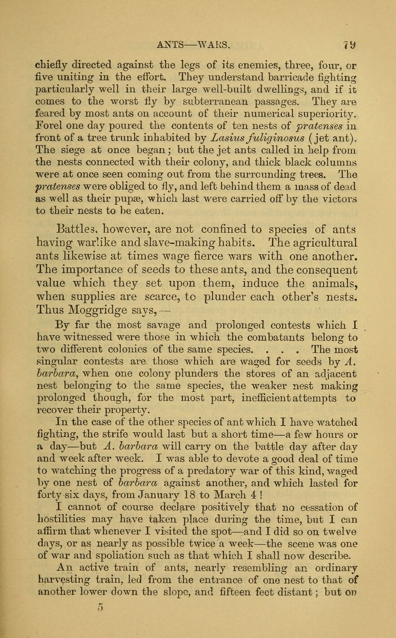 chiefly directed against the legs of its enemies, three, four, or five uniting in the effort. They understand barricade fighting particularly well in their large well-built dwelKngs, and if it comes to the worst fly by subterranean passages. They are feared by most ants on account of their numerical superiority. Forel one day poured the contents of ten nests of pratenses in front of a tree trunk inhabited by Lasius fuliginosus (jet ant). The siege at once began; but the jet ants called in help from the nests connected with their colony, and thick black columns were at once seen coming out from the surrounding trees. The prate7wes were obliged to fly, and left behind them a mass of dead as well as their pupae, which last were carried off by the victors to their nests to be eaten. Battles, however, are not confined to species of ants having warlike and slave-making habits. The agricultural ants likewise at times wage fierce wars with one another. The importance of seeds to these ants, and the consequent value which they set upon them, induce the animals, when supplies are scarce, to plunder each other's nests. Thus Moggridge says, — By far the most savage and prolonged contests which I have witnessed were those in which the combatants belong to two different colonies of the same species. . . . The most singular contests are. those which are waged for seeds by A. harhara, when one colony plunders the stores of an adjacent nest belonging to the same species, the weaker nest making prolonged though, for the most part, inefficient attempts to recover their property. In the case of the other species of ant which I have watched fighting, the strife would last but a short time—a few hours or a day—but A. harhara will carry on the battle day after day and week after week. I was able to devote a good deal of time to watching the progress of a predatory war of this kind, waged by one nest of harhara against another, and which lasted for forty six days, from January 18 to March 4 ! I cannot of course declare positively that no cessation of hostilities may have taken place during the time, but I can affirm that whenever I visited the spot—rand I did so on twelve days, or as nearly as possible twice a week—the scene was one of war and spoliation such as that which I shall now describe. An active train of ants, nearly resembling an ordinary har\'esting train, led from the entrance of one nest to that of another lower down the slope, and fifteen feet distant; but on