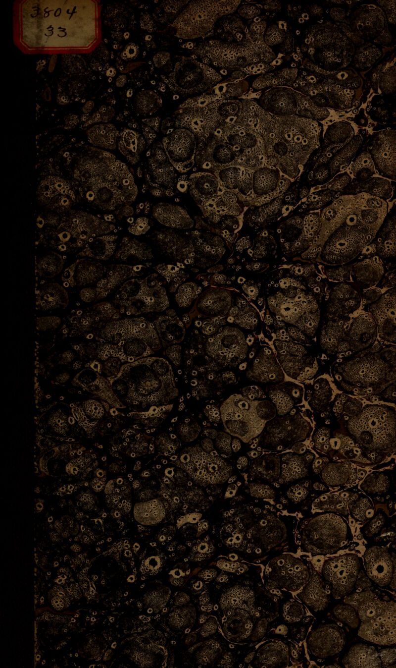 ',(£v« W' i -: ispçr »^^S