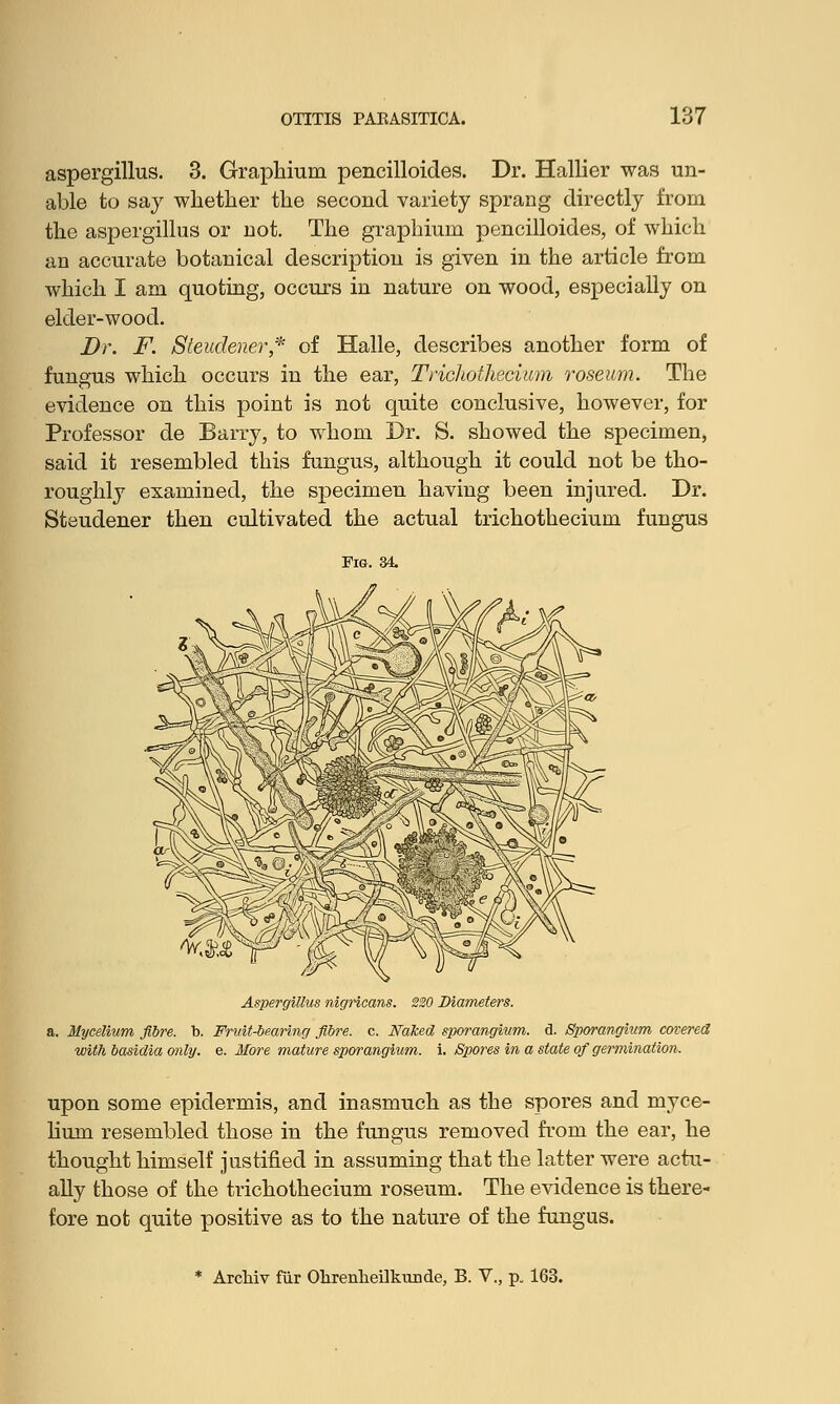 aspergillus. 3. Graphiuin pencilloides. Dr. Hallier was un- able to say whether the second variety sprang directly from the aspergillus or not. The graphium pencilloides, of which an accurate botanical description is given in the article from which I am quoting, occurs in nature on wood, especially on elder-wood. Dr. F. Steudener* of Halle, describes another form of fungus which occurs in the ear, Trichothecium roseum. The evidence on this point is not quite conclusive, however, for Professor de Barry, to whom Dr. S. showed the specimen, said it resembled this fungus, although it could not be tho- roughly examined, the specimen having been injured. Dr. Steudener then cultivated the actual trichothecium fungus Aspergillus nigricans. 220 Diameters. a. Mycelium fibre, b. Fruit-bearing fibre, c. Naked sporangium, d. Sporangium covered with basidia only. e. More mature sporangium, i. Spores in a state of germination. upon some epidermis, and inasmuch as the spores and myce- lium resembled those in the fungus removed from the ear, he thought himself justified in assuming that the latter were actu- ally those of the trichothecium roseum. The evidence is there- fore not quite positive as to the nature of the fungus.