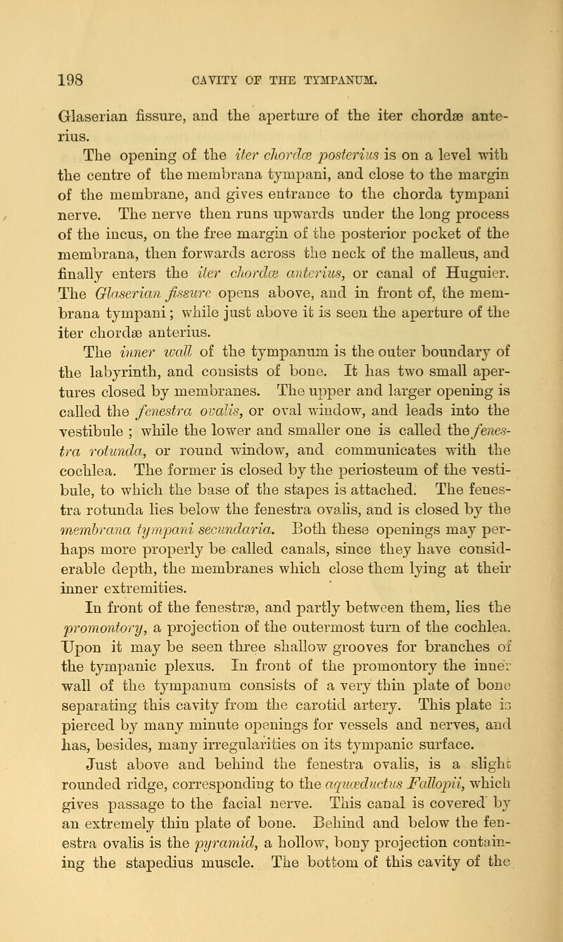 Glaserian fissure, and the aperture of the iter chordae ante- rius. The opening of the iter chorda posterius is on a level with the centre of the membrana tympani, and close to the margin of the membrane, and gives entrance to the chorda tympani nerve. The nerve then runs upwards under the long process of the incus, on the free margin of the posterior pocket of the membrana, then forwards across the neck of the malleus, and finally enters the iter cliordce anterius, or canal of Huguier. The Glaserian fissure opens above, and in front of, the mem- brana tympani; while just above it is seen the aperture of the iter chordae anterius. The inner wall of the tympanum is the outer boundary of the labyrinth, and consists of bone. It has two small aper- tures closed by membranes. The upper and larger opening is called the fenestra ovalis, or oval window, and leads into the vestibule ; while the lower and smaller one is called the fenes- tra rotunda, or round window, and communicates with the cochlea. The former is closed by the periosteum of the vesti- bule, to which the base of the stapes is attached. The fenes- tra rotunda lies below the fenestra ovalis, and is closed by the membrana tympani secundaria. Both these openings may per- haps more properly be called canals, since they have consid- erable depth, the membranes which close them lying at their inner extremities. In front of the fenestrae, and partly between them, lies the promontory, a projection of the outermost turn of the cochlea. Upon it may be seen three shallow grooves for branches of the tympanic plexus. In front of the promontory the inner wall of the tympanum consists of a very thin plate of bone separating this cavity from the carotid artery. This plate ia pierced by many minute openings for vessels and nerves, and has, besides, many irregularities on its tympanic surface. Just above and behind the fenestra ovalis, is a slighc rounded ridge, corresponding to the aquceductus Fallopii, which gives passage to the facial nerve. This canal is covered by an extremely thin plate of bone. Behind and below the fen- estra ovalis is the pyramid, a hollow, bony projection contain- ing the stapedius muscle. The bottom of this cavity of the
