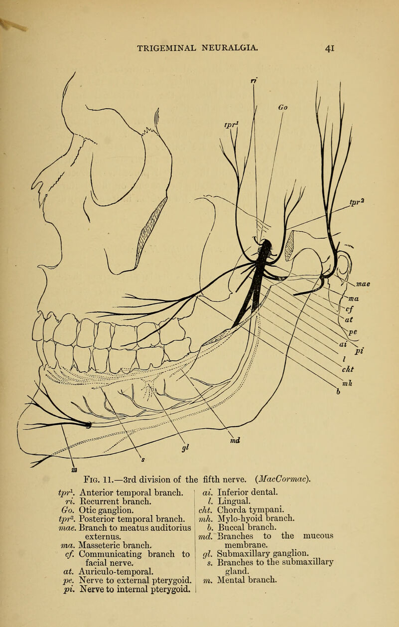 \ 9i md Fig. 11.—3rd division of the fifth nerve. {MacCormac). tpr\ Anterior temporal branch. ri. Recurrent branch. Go. Otic ganglion. tpr^. Posterior temporal branch. mae. Branch to meatus auditorius externus. ma. Masseteric branch. cf. Communicating branch to facial nerve. at. Auriculo-temporal. pe. Nerve to external pterygoid. pi. Nerve to internal pterygoid. ai. Inferior dental. I. Lingual. cht. Chorda tympani. mh. Mylo-hyoid branch. b. Buccal branch. md. Branches to the mucous membrane. I gl. Submaxillary ganglion. s. Branches to the submaxillary gland. m. Mental branch.