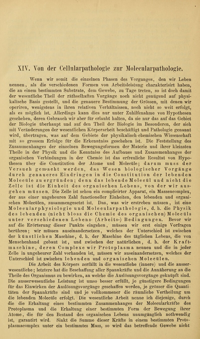 XIV. Von der CelMarpathologie zur Moleciüarpathologie. Wenn wir somit die einzelnen Phasen des Vorganges, den wir Leben nennen, als die verschiedenen Formen von Arbeitsleistung charakterisirt haben, die an einem bestimmten Substrate, dem Gewebe, zu Tage treten, so ist doch damit der wesentliche Theil der räthselhaften Vorgänge noch nicht genügend auf physi- kalische Basis gestellt, und die genauere Bestimmung der Grrössen, mit denen wir operiren, wenigstens in ihren relativen Verhältnissen, noch nicht so weit erfolgt, als es möglich ist. Allerdings kann dies nur unter Zuhilfenahme von Hypothesen geschehen, deren Grcbrauch wir aber für erlaubt halten, da sie nur das auf das Gebiet der Biologie überhaupt und auf den Theil der Biologie im Besonderen, der sich mit Veränderungen der wesentlichen Körperarbeit beschäftigt und Pathologie genannt wird, übertragen, was auf dem Gebiete der physikalisch-chemischen Wissenschaft mit so grossem Erfolge für die Erkenntniss geschehen ist. Die Feststellung des Zusammenhanges der einzelnen Bewegungsformen der Materie und ihrer kleinsten Theile in der Physik und die Kenntniss des Aufbaues und Zusammenhanges der organischen Verbindungen in der Chemie ist das erfreuliche Resultat von Hypo- thesen über die Constitution der Atome und Molecüle; darum muss der Versuch gem-acht werden, das Wesen biologischer Vorgänge durch genaueres Eindringen in die Constitution der lebenden Molecüle zu ergründen; denn das lebende Molecül und nicht die Zelle ist die Einheit des organischen Lebens, von der wir aus- gehen müssen. Die Zelle ist schon ein complicirter Apparat, ein Massencomplex, der aus einer ungeheuren Zahl functioneller Einheiten, den lebenden und organi- schen Molecülen, zusammengesetzt ist. Das, was wir erstreben müssen, ist eine Molecularphysiologie und Molecularpathologie, d.h. die Physik des lebenden (nicht bloss die Chemie des organischen) Molecüls unter verschiedenen Lebens- (Arbeits-) Bedingungen. Bevor wir auf die Erörterung dieser Punkte eingehen, müssen wir erst einige Vorfragen berühren; wir müssen auseinandersetzen, welches der Unterschied ist zwischen der künstlichen Maschine, d.h. der Maschine des täglichen Lebens, die von Menschenhand gebaut ist, und zwischen der natürlichen, d. h. der Kraft- maschine, deren Complexe wir Protoplasma nennen und die in jeder Zelle in ungeheurer Zahl vorhanden ist, müssen wir auseinandersetzen, welches der Unterschied ist zwischen lebenden und organischen Molecülen. Die Arbeit des Körpers zerfällt in die wesentliche (innere) und die ausser- wesentliche; letztere hat die Beschaffung aller Spannkräfte und die Annäherung an die Theile des Organismus zu bewirken, an welche die Auslösungsvorgänge geknüpft sind. Die ausserwesentliche Leistung ist umso besser erfüllt, je günstigere Bedingungen für das Einwirken der Auslösungsvorgänge geschaffen werden, je grösser die Quanti- täten der Spannkräfte sind und je vollkommener die räumliche Vertheilung um die lebenden Molecüle erfolgt. Die wesentliche Arbeit nenne ich diejenige, durch die die Erhaltung eines bestimmten Zusammenhanges der Molecularkräfte des Protoplasma und die Erhaltung einer bestimmten Form der Bewegung ihrer Atome, die für den Bestand des organisclien Lebens unumgänglich nothwendig ist, garantirt wird. Sinkt die Summe dieser Kräfte in einem bestimmten Proto- plasmacomplex unter ein bestimmtes Mass, so wird das betreffende Gewebe nicht