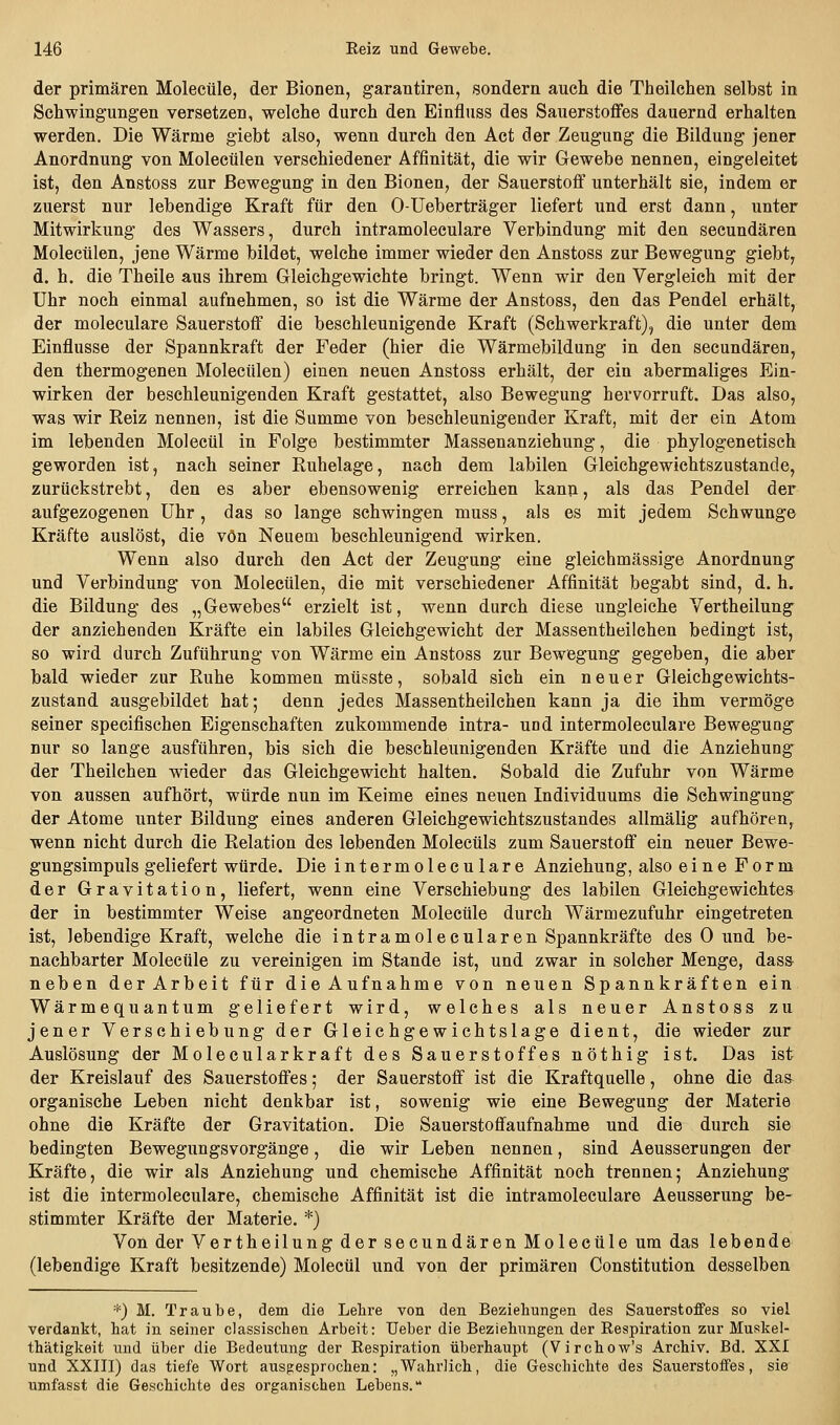 der primären Molecüle, der Bionen, garautiren, sondern auch die Theilchen selbst in Schwingungen versetzen, welche durch den Einfluss des Sauerstoffes dauernd erhalten werden. Die Wärme giebt also, wenn durch den Act der Zeugung die Bildung jener Anordnung von Molecülen verschiedener Affinität, die wir Gewebe nennen, eingeleitet ist, den Anstoss zur Bewegung in den Bionen, der Sauerstoff unterhält sie, indem er zuerst nur lebendige Kraft für den 0-Ueberträger liefert und erst dann, unter Mitwirkung des Wassers, durch intramoleculare Verbindung mit den secundären Molecülen, jene Wärme bildet, welche immer wieder den Anstoss zur Bewegung giebt, d. h. die Theile aus ihrem Gleichgewichte bringt. Wenn wir den Vergleich mit der Uhr noch einmal aufnehmen, so ist die Wärme der Anstoss, den das Pendel erhält, der moleculare Sauerstoff die beschleunigende Kraft (Schwerkraft), die unter dem Einflüsse der Spannkraft der Feder (hier die Wärmebildung in den secundären, den thermogenen Molecülen) einen neuen Anstoss erhält, der ein abermaliges Ein- wirken der beschleunigenden Kraft gestattet, also Bewegung hervorruft. Das also, was wir Reiz nennen, ist die Summe von beschleunigender Kraft, mit der ein Atom im lebenden Molecül in Folge bestimmter Massenanziehung, die phylogenetisch geworden ist, nach seiner Ruhelage, nach dem labilen Gleichgewichtszustände, zurückstrebt, den es aber ebensowenig erreichen kann, als das Pendel der aufgezogenen Uhr, das so lange schwingen muss, als es mit jedem Schwünge Kräfte auslöst, die von Neuem beschleunigend wirken. Wenn also durch den Act der Zeugung eine gleichmässige Anordnung und Verbindung von Molecülen, die mit verschiedener Affinität begabt sind, d. h. die Bildung des „Gewebes erzielt ist, wenn durch diese ungleiche Vertheilung der anziehenden Kräfte ein labiles Gleichgewicht der Massentheilchen bedingt ist, so wird durch Zuführung von Wärme ein Anstoss zur Bewegung gegeben, die aber bald wieder zur Ruhe kommen müsste, sobald sich ein neuer Gleichgewichts- zustand ausgebildet hat; denn jedes Massentheilchen kann ja die ihm vermöge seiner specifischen Eigenschaften zukommende intra- und intermoleculare Bewegung nur so lange ausführen, bis sich die beschleunigenden Kräfte und die Anziehung der Theilchen wieder das Gleichgewicht halten. Sobald die Zufuhr von Wärme von aussen aufhört, würde nun im Keime eines neuen Individuums die Schwingung' der Atome unter Bildung eines anderen Gleichgewichtszustandes allmälig aufhören, wenn nicht durch die Relation des lebenden Molecüls zum Sauerstoff ein neuer Bewe- gungsimpuls geliefert würde. Die intermoleculare Anziehung, also eine Form der Gravitation, liefert, wenn eine Verschiebung des labilen Gleichgewichtes der in bestimmter Weise angeordneten Molecüle durch Wärmezufuhr eingetreten ist, lebendige Kraft, welche die intramolecularen Spannkräfte des 0 und be- nachbarter Molecüle zu vereinigen im Stande ist, und zwar in solcher Menge, dass neben derArbeit für dieAufnahme von neuen Spannkräften ein Wärmequantum geliefert wird, welches als neuer Anstoss zu jener Verschiebung der Gleichgewichtslage dient, die wieder zur Auslösung der Molecularkraft des Sauerstoffes nöthig ist. Das ist der Kreislauf des Sauerstoffes; der Sauerstoff ist die Kraftquelle, ohne die das organische Leben nicht denkbar ist, sowenig wie eine Bewegung der Materie ohne die Kräfte der Gravitation. Die Sauerstoffaufnahme und die durch sie bedingten BewegungsVorgänge, die wir Leben nennen, sind Aeusserungen der Kräfte, die wir als Anziehung und chemische Affinität noch trennen; Anziehung ist die intermoleculare, chemische Affinität ist die intramoleculare Aeusserung be- stimmter Kräfte der Materie. *) Von der Vertheilung der secundären Molecüle um das lebende (lebendige Kraft besitzende) Molecül und von der primären Constitution desselben *) M. Traube, dem die Lebre von den Beziebungen des Sauerstoffes so viel verdankt, hat in seiner classiscben Arbeit: Ueber die Beziebungen der Respiration zur Muskel- thätigkeit und über die Bedeutung der Respiration überhaupt (Virchow's Archiv. Bd. XXI und XXIII) das tiefe Wort ausgesprochen: ,,Wahrlich, die Geschichte des Sauerstoffes, sie umfasst die Geschichte des organischen Lebens.