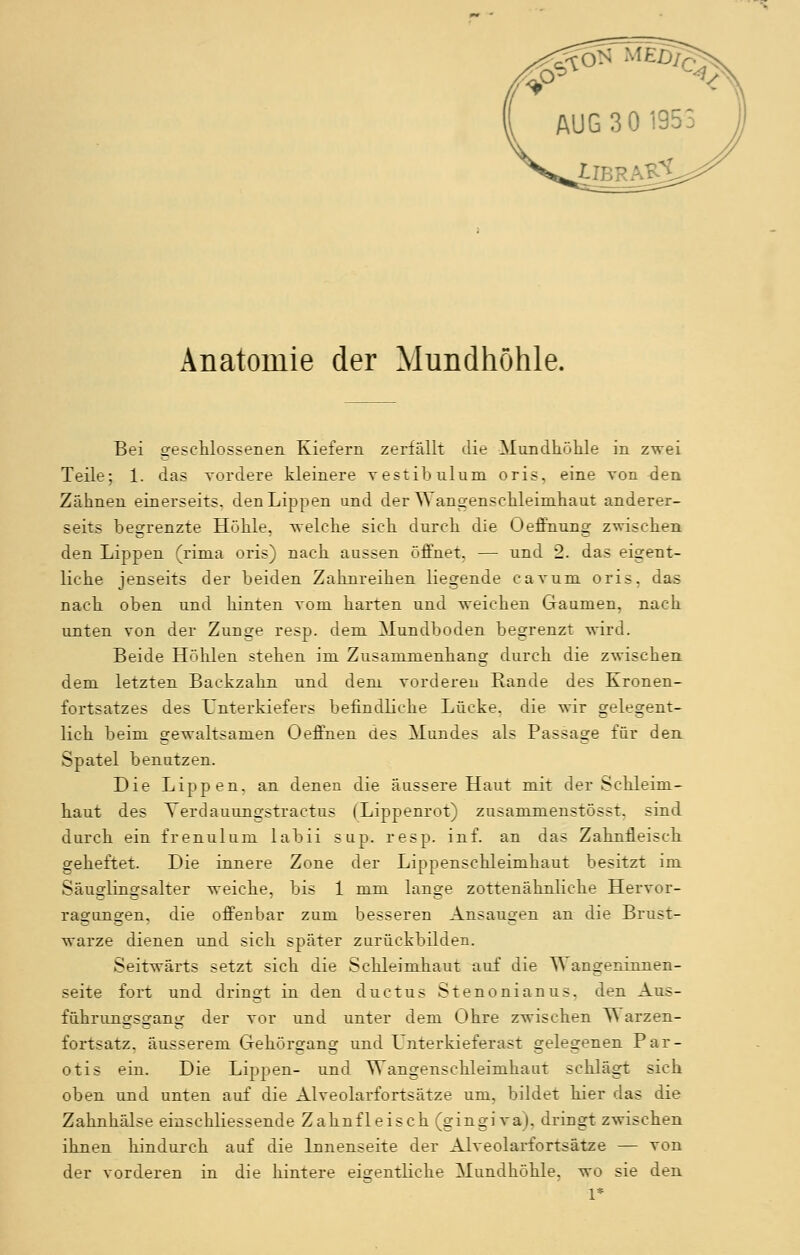 Anatomie der Mundhöhle. Bei geschlossenen Kiefern zerfallt die Mundhöhle in zwei Teile; 1. das vordere kleinere vestibulum oris, eine von den Zähnen einerseits, den Lippen und der W angenschleimhaut anderer- seits begrenzte Höhle, welche sich durch die Oeffnung zwischen den Lippen (rima oris) nach aussen öffnet. — und 2. das eigent- liche jenseits der beiden Zahnreihen liegende cavum oris. das nach oben und hinten vom harten und weichen Gaumen, nach unten von der Zunge resp. dem Mundboden begrenzt wird. Beide Höhlen stehen im Zusammenhang durch die zwischen dem letzten Backzahn und dem vorderen Rande des Kronen- fortsatzes des Unterkiefers befindliche Lücke, die wir gelegent- lich beim gewaltsamen Oeffnen des Mundes als Passage für den. Spatel benutzen. Die Lippen, an denen die äussere Haut mit der Schleim- haut des Yerdauungstractus (Lippenrot) zusammenstösst. sind durch ein frenulum labii sup. resp. inf. an das Zahnfleisch geheftet. Die innere Zone der Lippenschleimhaut besitzt im Säuglingsalter weiche, bis 1 mm lange zottenähnliche Hervor- ragaagen, die offenbar zum besseren Ansaugen an die Brust- warze dienen und sich später zurückbilden. Seitwärts setzt sich die Schleimhaut auf die ^\ angenmnen- seite fort und dringt in den ductus Stenonianus, den Aus- führungsgang der vor und unter dem Ohre zwischen Warzen- fortsatz, äusserem Gehör2:anor und Lnterkieferast gelegenen Par- otis ein. Die Lippen- und Wangensehleinihaut schlägt sich oben und unten auf die Alveolarfortsätze um, bildet hier das die Zahnhälse einschliessende Zahnfleisch (gingiva). dringt zwischen ihnen hindurch auf die Innenseite der Alveolarfortsätze — von der vorderen in die hintere eigentliche Mundhöhle, wo sie den 1*