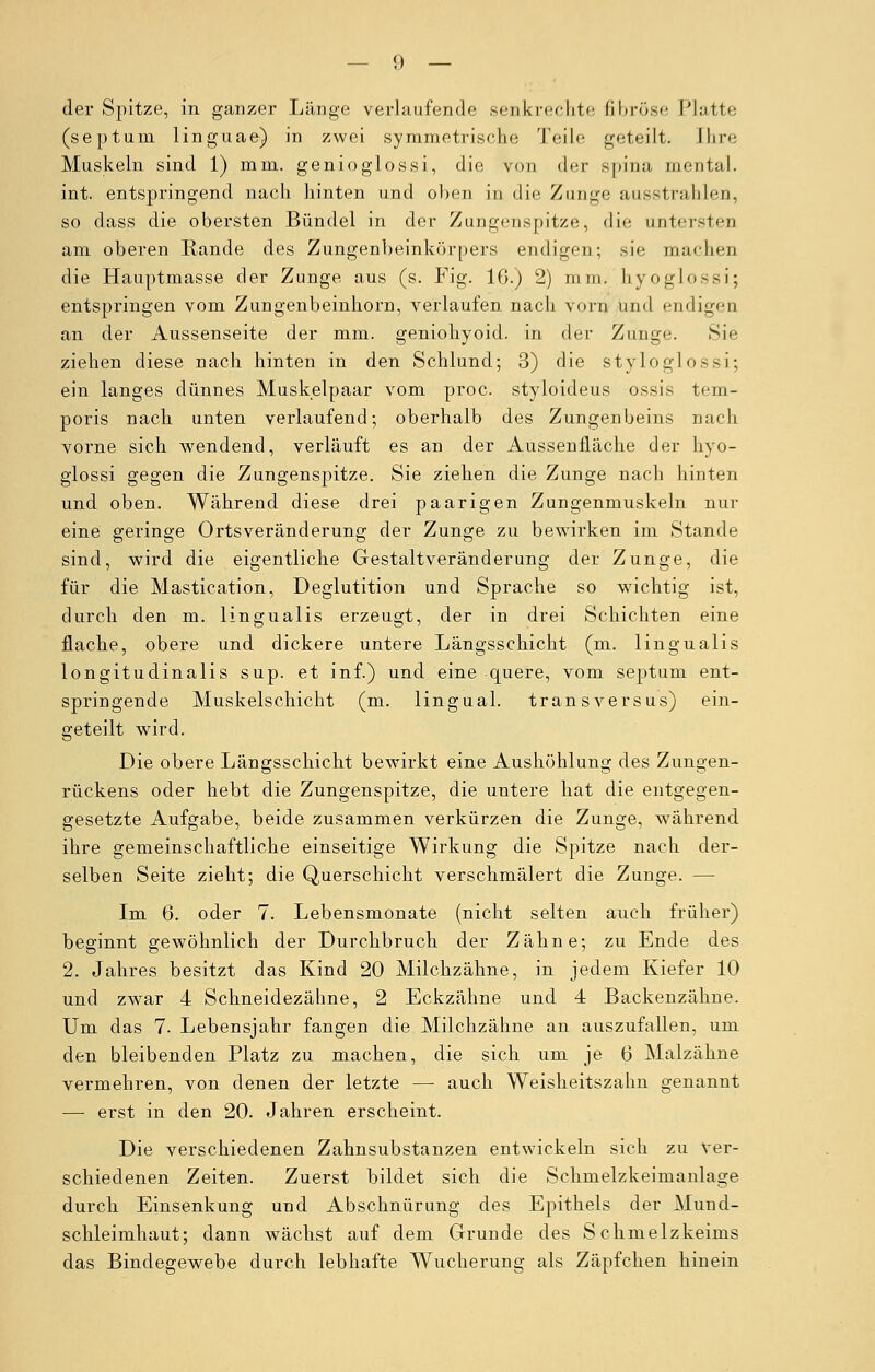 der Spitze, in ganzer Länge verlaufende senkrechte fibröse Platte (septum linguae) in zwei symmetrische Teile geteilt. Ihre Muskeln sind 1) mm. genioglossi, die von der gpina mental, int. entspringend nach hinten und oben in die Zunge ausstrahlen, so dass die obersten Bündel in der Zungenspitze, die untersten am oberen Rande des Zungenbeinkörpers endigen; sie machen die Hauptmasse der Zunge aus (s. Fig. 16.) 2) mm. hyoglossi; entspringen vom Zungenbeinhorn, verlaufen nach vorn und endigen an der Aussenseite der mm. geniohyoid. in der Zunge. Sie ziehen diese nach hinten in den Schlund; 3) die styloglossi; ein langes dünnes Muskelpaar vom proc. styloideus ossis tem- poris nach unten verlaufend; oberhalb des Zungenbeins nach vorne sich wendend, verläuft es an der Aussenfläche der hyo- glossi gegen die Zungenspitze. Sie ziehen die Zunge nach hinten und oben. Während diese drei paarigen Zungenmuskeln nur eine geringe Ortsveränderung der Zunge zu bewirken im Stande sind, wird die eigentliche Gestaltveränderung der Zunge, die für die Mastication, Deglutition und Sprache so wichtig ist, durch den m. lingualis erzeugt, der in drei Schichten eine flache, obere und dickere untere Längsschicht (m. lingualis longitudinalis sup. et inf.) und eine quere, vom septum ent- springende Muskelschicht (m. lingual, transversus) ein- geteilt wird. Die obere Längsschicht bewirkt eine Aushöhlung des Zungen- rückens oder hebt die Zungenspitze, die untere hat die entgegen- gesetzte Aufgabe, beide zusammen verkürzen die Zunge, während ihre gemeinschaftliche einseitige Wirkung die Spitze nach der- selben Seite zieht; die Querschicht verschmälert die Zunge. — Im 6. oder 7. Lebensmonate (nicht selten auch früher) beginnt gewöhnlich der Durchbruch der Zähne; zu Ende des 2. Jahres besitzt das Kind 20 Milchzähne, in jedem Kiefer 10 und zwar 4 Schneidezähne, 2 Eckzähne und 4 Backenzähne. Um das 7. Lebensjahr fangen die Milchzähne an auszufallen, um den bleibenden Platz zu machen, die sich um je 6 Malzähne vermehren, von denen der letzte — auch Weisheitszahn genannt — erst in den 20. Jahren erscheint. Die verschiedenen Zahnsubstanzen entwickeln sich zu ver- schiedenen Zeiten. Zuerst bildet sich die Schmelzkeimanlage durch Einsenkung und Abschnürung des Epithels der Mund- schleimhaut; dann wächst auf dem Grunde des Schmelzkeims das Bindegewebe durch lebhafte Wucherung als Zäpfchen hinein