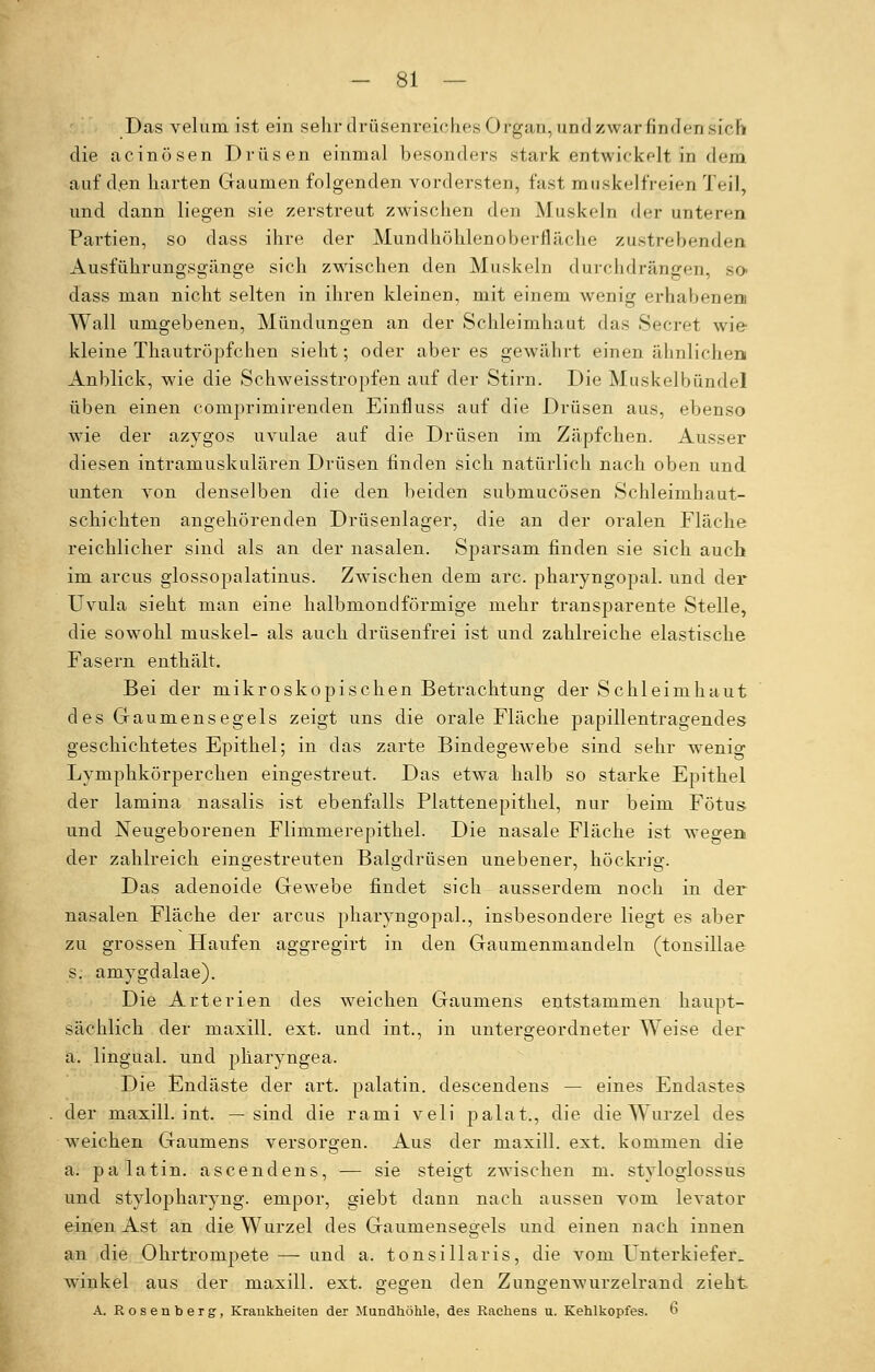 Das velum ist ein sehr flrusenreich.es Organ, und zwar finden sicfi die acinösen Drüsen einmal besonders stark entwickelt in dem auf den harten Gaumen folgenden vordersten, fast muskelfreien Teil, und dann liegen sie zerstreut zwischen den Muskeln der unteren Partien, so dass ihre der Mundhöhlenoberfläche zustrebenden Ausführungsgänge sich zwischen den Muskeln durchdrängen, so dass man nicht selten in ihren kleinen, mit einem wenig erhabenen Wall umgebenen, Mündungen an der Schleimhaut das Secret wie kleine Thautröpfchen sieht; oder aber es gewährt einen ähnlichen! Anblick, wie die Schweisstropfen auf der Stirn. Die Muskelbündel üben einen comprimirenden Einfluss auf die Drüsen aus, ebenso wie der azygos uvulae auf die Drüsen im Zäpfchen. Ausser diesen intramuskulären Drüsen finden sich natürlich nach oben und unten von denselben die den beiden submucösen Schleimhaut- schichten angehörenden Drüsenlager, die an der oralen Fläche reichlicher sind als an der nasalen. Sparsam finden sie sich auch im arcus glossopalatinus. Zwischen dem arc. pharyngopal. und der Uvula sieht man eine halbmondförmige mehr transparente Stelle, die sowohl muskel- als auch drüsenfrei ist und zahlreiche elastische Fasern enthält. Bei der mikroskopischen Betrachtung der Schleimhaut des Gaumensegels zeigt uns die orale Fläche papillentragendes geschichtetes Epithel; in das zarte Bindegewebe sind sehr wenig Lymphkörperchen eingestreut. Das etwa halb so starke Epithel der lamina nasalis ist ebenfalls Plattenepithel, nur beim Fötus und Neugeborenen Flimmerepithel. Die nasale Fläche ist wegen der zahlreich eingestreuten Balgdrüsen unebener, höckrig. Das adenoide Gewebe findet sich ausserdem noch in der nasalen Fläche der arcus pharyngopal., insbesondere liegt es aber zu grossen Haufen aggregirt in den Gaumenmandeln (tonsillae s. amygdalae). Die Arterien des weichen Gaumens entstammen haupt- sächlich der maxill. ext. und int., in untergeordneter Weise der a. lingual, und pliaryngea. Die Endäste der art. palatin. descendens — eines Endastes der maxill. int. —sind die rami veli palat., die die Wurzel des weichen Gaumens versorgen. Aus der maxill. ext. kommen die a. palatin. ascendens, — sie steigt zwischen m. styloglossus und stylopharyng. empor, giebt dann nach aussen vom levator einen Ast an die Wurzel des Gaumensegels und einen nach innen an die Ohrtrompete — und a. tonsillaris, die vom Unterkiefer, winkel aus der maxill. ext. gegen den Zungenwurzelrand zieht A. Rosenberg, Krankheiten der Mundhöhle, des Rachens u. Kehlkopfes, t»