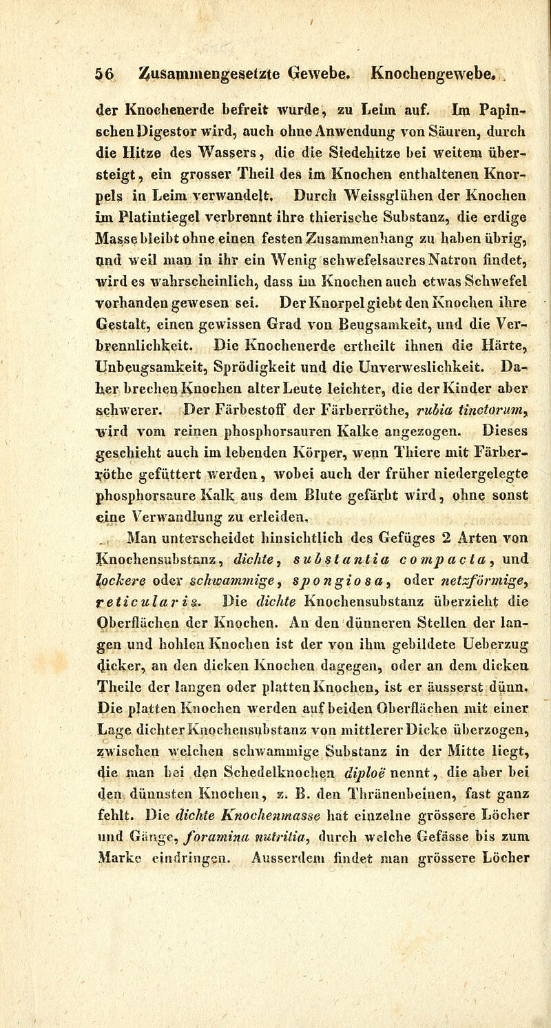 4er Knochenerde befreit wurde, zu Leün auf. Im Papin- schenDigestor wird, auch ohne Anwendung von Säuren, durch die Hitze des Wassers, die die Siedehitze bei weitem über- steigt , ein grosser Theil des im Knochen enthaltenen Knor- pels in Leim rerwandelt. Durch Weissglühen der Knochen im Platiutiegel verbrennt ihre thierische Substanz, die erdige Mass^ bleibt ohne einen festen Zusainmenhang zu haben übrig, und weil mau in ihr ein Wenig schwefelsaures Natron findet, wird es wahrscheinlich, dass hu. Knochen auch etAvas Schwefel vorhanden gewesen sei. Der Knorpel giebt den Knochen ihre Gestalt, einen gewissen Grad von Beugsamkeit, und die Ver- brennlichkeit. Die Knochenerde ertheilt ihnen die Härte, Unbeugsamkeit, Sprödigkeit und die Unverweslichkeit. Da- lier brechen Knochen alter Leute leichter, die der Kinder aber schwerer. Der Färbestoff der Färberröthe, rubia tinctormn^ •wird vom reinen phospborsauren Kalke angezogen. Dieses geschieht auch im lebenden Körper, wenn Thiere mit Färber- röthe gefüttert werden, wobei auch der früher niedergelegte phosphorsaure Kalk aus dem Blute gefärbt wird, ohne sonst eine Verwandlung zu erleiden. . Man unterscheidet hinsichtlich des Gefüges 2 Arten von Knochensubstanz, dichte, substantia co mp acta , und lockere oi&i'schwammigej spongiostty qAqx netzförmige^ feticuiaris^. Die dichte Knochensubstanz überzieht die Oberflächen der Knochen. An den dünneren Stellen der lan- gen und hohlen Knochen ist der von ihm gebildete Ueberzug 4icker, an den dicken Knochen dagegen, oder an dem dicken Theile der langen oder platten Knochen, ist er äusserst dünn, Pie platten K'iochen werden auf beiden Oberflächen mit einer Lage dichter Knochensubstanz von mittlerer Dicke überzogen, zwischen welclien schwammige Substanz in der Mitte liegt, die man bei d?n Schedelknochen diploe nennt ^ die aber bei den. dünnsten Knochen, s. B. den Thränenbeinen, fast ganz fehlt. Die dichte Knochenmasse hat einzelne grössere Löcher und Gänge, foramina nutrilia, durch welche Gefässe bis zum Marke eindringen. Ausserdem findet man grössere Löcher