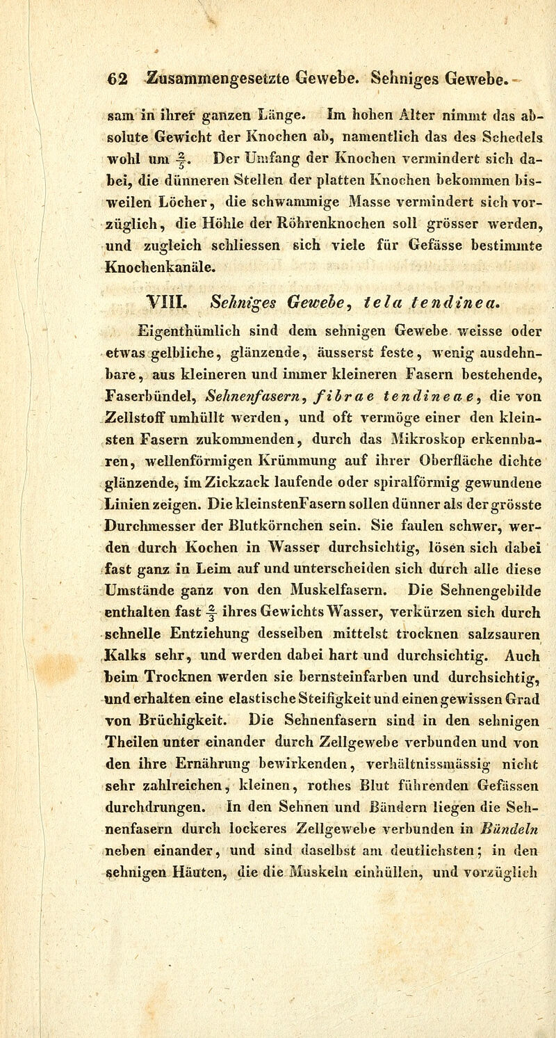 sam in ilirei ganzen Länge. Im hohen Alter nimmt das ab- solute Gewicht der Knochen ab, namentlich das des Schedels wohl lim 4. Der Umfang der Knochen vermindert sich da- bei, die dünneren Stellen der platten Knochen bekommen bis- weilen Löcher, die schwammige Masse vermindert sich vor- züglich , die Höhle der Röhrenknochen soll grösser werden, und zugleich schliessen sich viele für Gefässe bestimmte Knochenkanäle. TIIL Sehniges Gewehe, tela tendinea* Eigenthümlich sind dem sehnigen Gewebe weisse oder etwas gelbliche, glänzende, äusserst feste, wenig ausdehn- bare , aus kleineren und immer kleineren Fasern bestehende, Faserbündel, SeJmenfasern, fibrae tendineae, die von Zellstoff umhüllt werden, und oft vermöge einer den klein- sten Fasern zukommenden, durch das Mikroskop erkennba- ren, wellenförmigen Krümmung auf ihrer Oberfläche dichte glänzende, im Zickzack laufende oder spiralförmig gewundene Linien zeigen. Die kleinstenFasern sollen dünner als dergrösste Durchmesser der Blutkörnchen sein. Sie faulen schwer, wer- den durch Kochen in Wasser durchsichtig, lösen sich dabei fast ganz in Leim auf und unterscheiden sich durch alle diese Umstände ganz von den Muskelfasern. Die Sehnengebilde enthalten fast ^ ihres Gewichts Wasser, verkürzen sich durch schnelle Entziehung desselben mittelst trocknen salzsauren Kalks sehr, und werden dabei hart und durchsichtig. Auch beim Trocknen werden sie bernsteinfarben und durchsichtig, und erhalten eine elastische Steifigkeit und einen gewissen Grad von Brüchigkeit. Die Sehnenfasern sind in den sehnigen Theilen unter einander durch Zellgewebe verbunden und von den ihre Ernährung bewirkenden, verhältnissmässig nicht sehr zahlreichen, kleinen, rothes Blut fuhrenden Gefässen durchdrungen. In den Sehnen und Bändern liegen die Seh- nenfasern durch lockeres Zellgewebe verbunden in Bündeln neben einander, und sind daselbst am deutlichsten; in den sehnigen Häuten, die die Muskeln einhüllen, und vorzüglich