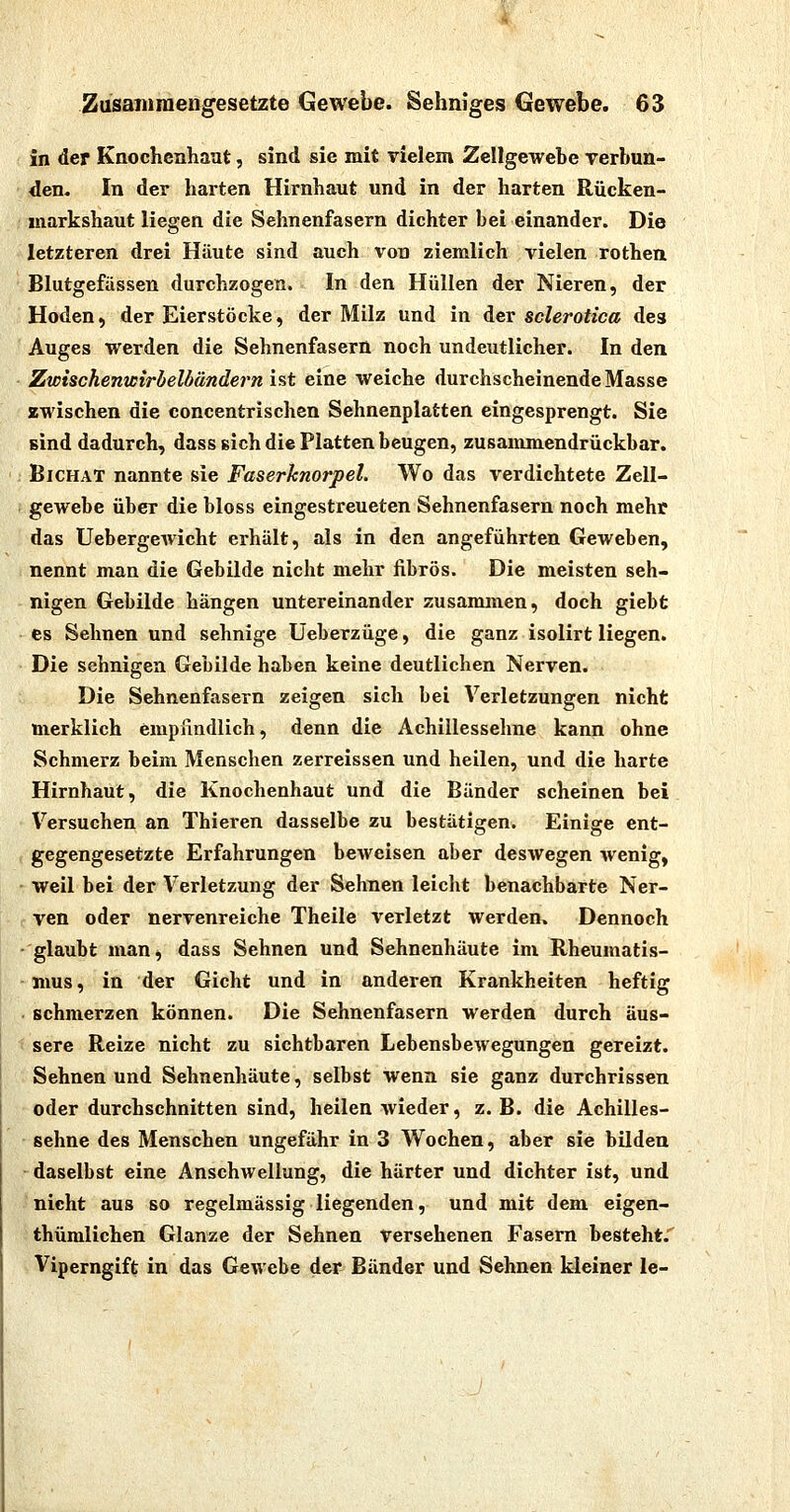 in der Knochenhaut, sind sie mit vielem Zellgewebe verbun- den- In der harten Hirnhaut und in der harten Rücken- markshaut liegen die Sehnenfasern dichter bei einander. Die letzteren drei Häute sind auch von ziemlich vielen rothen Blutgefässen durchzogen. In den Hüllen der Nieren, der Hoden, der Eierstöcke, der Milz und in der sclerotica des Auges werden die Sehnenfasern noch undeutlicher. In den Zwischenwirbelbändern i?>t eine weiche durchscheinende Masse zwischen die concentrischen Sehnenplatten eingesprengt. Sie sind dadurch, dass sich die Platten beugen, zusammendrückbar. BiCHAT nannte sie Faserhnorpel. Wo das verdichtete Zell- gewebe über die bloss eingestreueten Sehnenfasern noch mehr das Uebergewicht erhält, als in den angeführten Geweben, nennt man die Gebilde nicht mehr jfibrös. Die meisten seh- nigen Gebilde hängen untereinander zusammen, doch giebt es Sehnen und sehnige Ueberzüge, die ganz isolirt liegen. Die sehnigen Gebilde haben keine deutlichen Nerven. Die Sehnenfasern zeigen sich bei Verletzungen nicht merklich emplindlich, denn die Achillessehne kann ohne Schmerz beim Menschen zerreissen und heilen, und die harte Hirnhaut, die Knochenhaut und die Bänder scheinen bei Versuchen an Thieren dasselbe zu bestätigen. Einige ent- gegengesetzte Erfahrungen beweisen aber deswegen wenig, weil bei der Verletzung der Sehnen leiclit benachbarte Ner- ven oder nervenreiche Theile verletzt werden. Dennoch glaubt man, dass Sehnen und Sehnenhäute im Rheumatis- mus, in der Gicht und in anderen Krankheiten heftig schmerzen können. Die Sehnenfasern werden durch äus- sere Reize nicht zu sichtbaren Lebensbewegungen gereizt. Sehnen und Sehnenhäute, selbst wenn sie ganz durchrissen oder durchschnitten sind, heilen wieder, z.B. die Achilles- sehne des Menschen ungefähr in 3 Wochen, aber sie bilden daselbst eine Anschwellung, die härter und dichter ist, und nicht aus so regelmässig liegenden, und mit dem eigen- thümlichen Glänze der Sehnen versehenen Fasern besteht.'' Viperngift in das Gewebe der Bänder und Sehnen kleiner le-