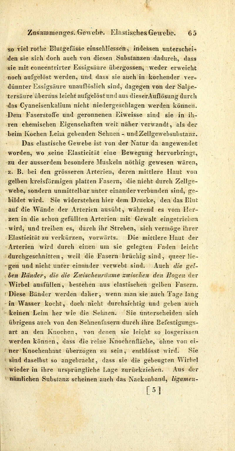 so viel rothe Blutgefässe einschliessen, indessen unterschei- den sie sich doch auch von diesen Substanzen dadurch, dass sie mit concentrirter Essigsäure Übergossen, weder erweicht noch aufgelöst werden, und dass sie auch in kochender ver-^ dünnter Essigsäure unauflöslich sind, dagegen von der Salpe- tersäure überaus leicht aufgelöst und aus dieserAuflösung durch das Cyaneisenkalium nicht niedergeschlagen werden können. Dem Faserstoffe und geronnenen Eiweisse sind sie in ih- ren chemischen Eigenschaften weit näher verwandt, als der beim Kochen Leim gebenden Sehnen- undZellgewebsubstanz. Das elastische Gewebe ist von der Natur da angewendet worden, wo seine Elasticität eine Bewegung hervorbringt, zu der ausserdem besondere Muskeln nöthig gewesen wären, z- B. bei den grösseren Arterien, deren mittlere Haut von gelben kreisförmigen platten Fasern, die nicht durch Zellge- webe, sondern unmittelbar unter einander verbunden sind, ge- bildet wird. Sie widerstehen hier dem Drucke, den das Blut auf die Wände der Arterien ausübt, während es vom Her- zen in die schon gefüllten Arterien mit Gewalt eingetrieben wird, und treiben es, durch ihr Streben, sich vermöge ihrer Elasticität zu verkürzen, vorwärts. Die mittlere Haut der Arterien wird durch einen um sie gelegten Faden leicht durchgeschnitten, iveil die Fasern brüchig sind, queer lie- gen und nicht unter einander verwebt sind. Auch die gel- ben Bänder, die die Zicischenräume zwische?i den Bogen der Wirbel ausfüllen, bestehen aus elastischen gelben Fasern. Diese Bänder werden daher, wenn man sie auch Tage lang in Wasser kocht, doch nicht durchsichtig und geben auch keinen Leim her wie die Sehnen. Sie unterscheiden sich übrigens auch von den Sehnenfasern durch ihre Befestigungs- art an den Knochen, von denen sie leicht so losgerissen werden können, dass die reine Knochenfläche, ohne von ei- ner Knochenhaut überzogen zu sein, entblösst wird. Sie sind daselbst so angebracht, dass sie die gebeugten Wirbel wieder in ihre ursprüngliche Lage zurückziehen. Aus der nämlichen Substanz scheinen auch das Nackenband, ligamen- [5]