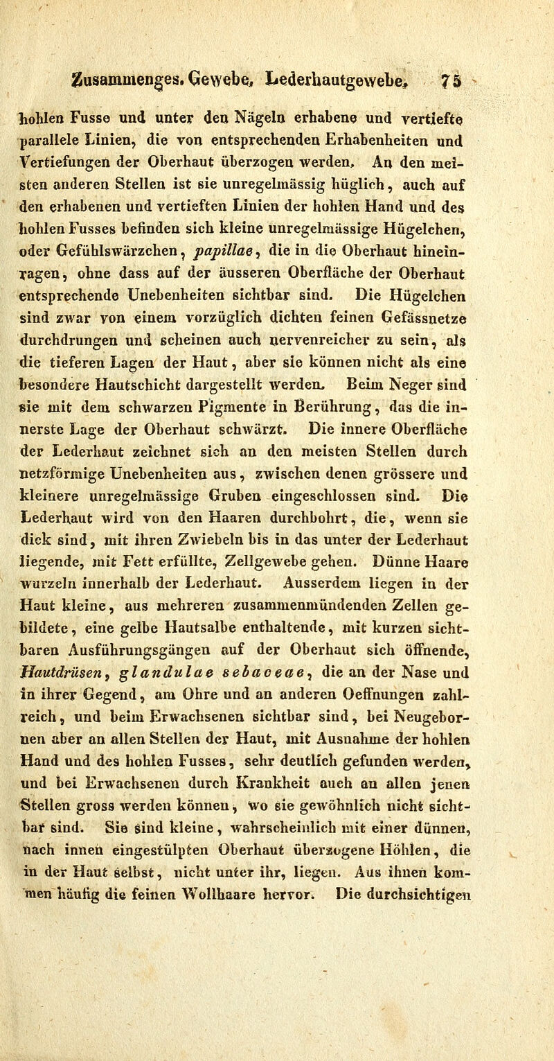 hohlen Fusse und untey den Nägeln erhabenQ und yertiefte parallele Linien, die von entsprechenden Erhabenheiten und Vertiefungen der Oberhaut überzogen werden. An den mei- sten anderen Stellen ist sie unregehnässig hüglich, auch auf den erhabenen und vertieften Linien der hohlen Hand und des hohlen Fusses befinden sich kleine unregelmässige Hügelchen, oder Gefühlswärzchen, papillae, die in die Oberhaut hinein- Tagen, ohne dass auf der äusseren Oberfläche der Oberhaut entsprechende Unebenheiten sichtbar sind. Die Hügelchen sind zwar von einem vorzüglich dichten feinen Gefässnetze durchdrungen und scheinen auch nervenreicher zu sein, als die tieferen Lagen der Haut, aber sie können nicht als eine Iresondere Hautschicht dargestellt werden. Beim Neger sind sie mit dem schwarzen Pigmente in Berührung, das die in- nerste Lage der Oberhaut schwärzt. Die innere Oberfläche der Lederhaut zeichnet sich an den meisten Stellen durch netzförmige Unebenheiten aus, zwischen denen grössere und kleinere unregelmässige Gruben eingeschlossen sind. Die Lederhaut wird von den Haaren durchbohrt, die, wenn sie dick sind, mit ihren Zwiebeln bis in das unter der Lederhaut liegende, mit Fett erfüllte, ZellgeAvebe gehen. Dünne Haare wurzeln innerhalb der Lederhaut. Ausserdem liegen in der Haut kleine, aus mehreren zusammenmündenden Zellen ge- bildete , eine gelbe Hautsalbe enthaltende, mit kurzen sicht- baren Ausführungsgängen auf der Oberhaut sich öffnende, Hautdrüsen, glandulae sebaoeae^ die an der Nase und in ihrer Gegend, am Ohre und an anderen Oeffnungen zahl- reich 5 und beim Erwachsenen sichtbar sind, bei Neugebor- nen aber an allen Stellen der Haut, mit Ausnahme der hohlen Hand und des hohlen Fusses, sehr deutlich gefunden werden» und bei Erwachsenen durch Krankheit auch an allen jenen Stellen gross werden können, Wo sie gewöhnlich nicht sicht- bar sind. Sie öind kleine , wahrscheinlich mit einer dünnen, nach innen eingestülpten Oberhaut überaogene Höhlen, die in der Haut selbst, nicht unter ihr, liegen. Aus ihnen kom- men häutig die feinen Wollhaare hervor. Die durchsichtigen